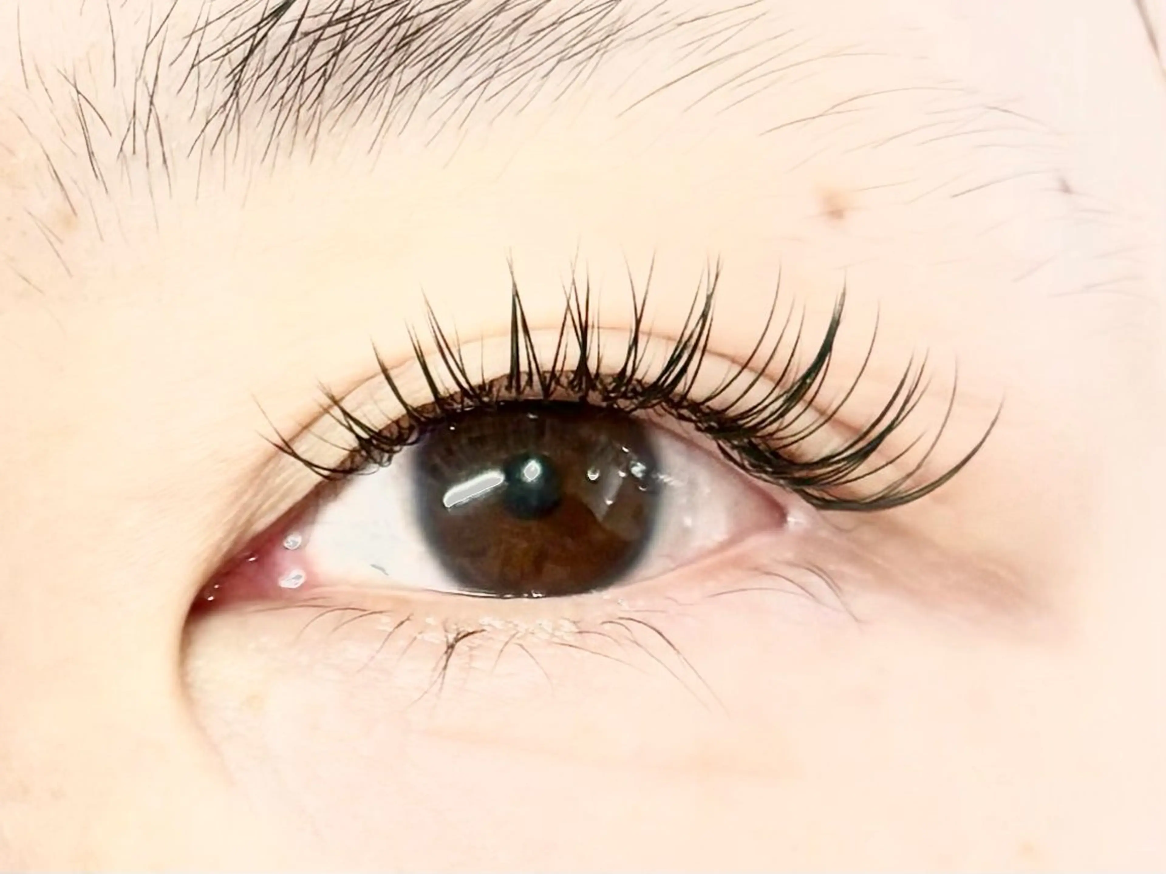 マツエク・マツパ Cカール フラットラッシュ マツエク 中村彩香 (エフドゥ)のマツエク・マツパデザイン