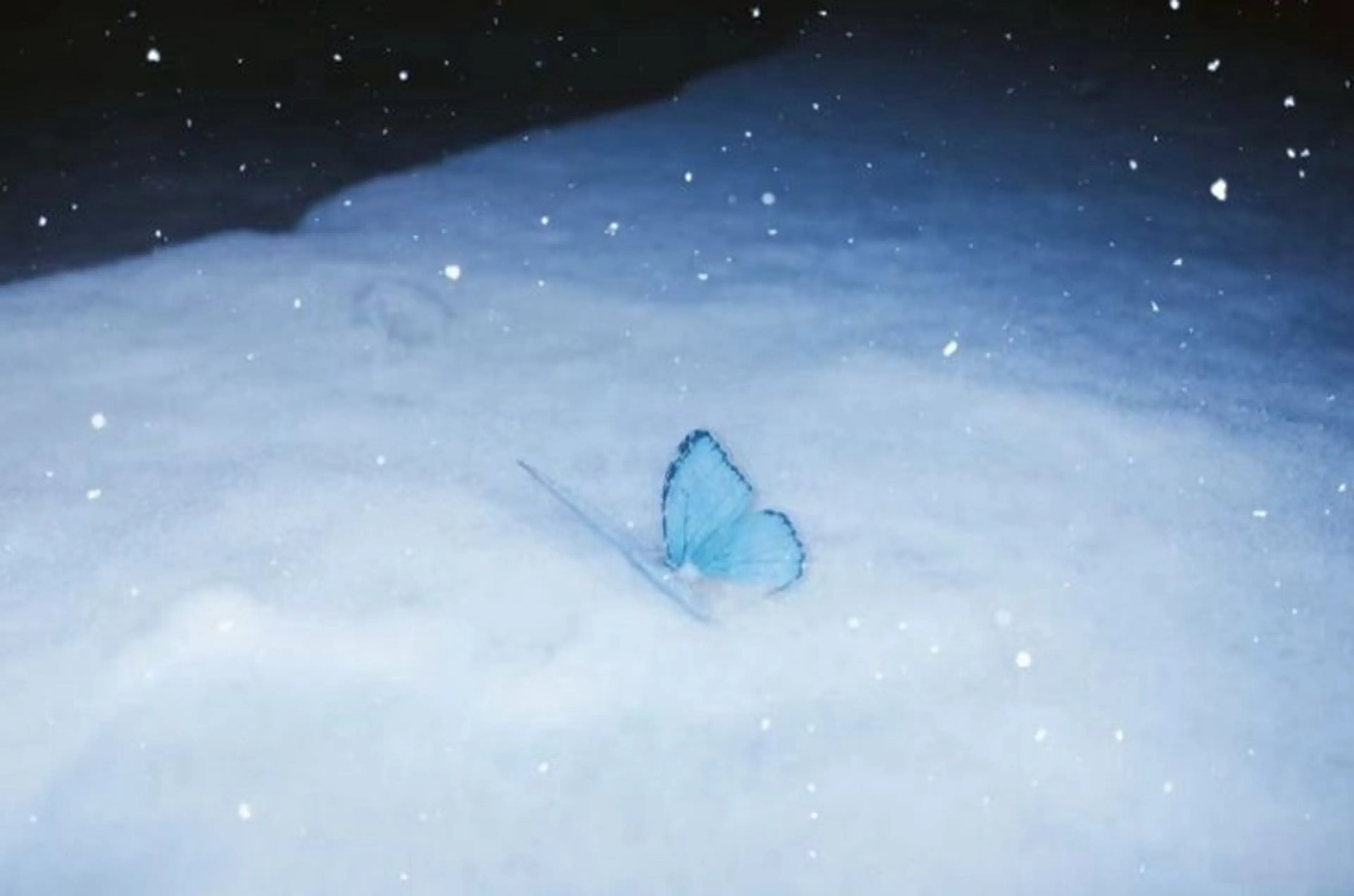 SSINSTUDIO 𝑴𝒊𝒉𝒐🦋のその他イメージ