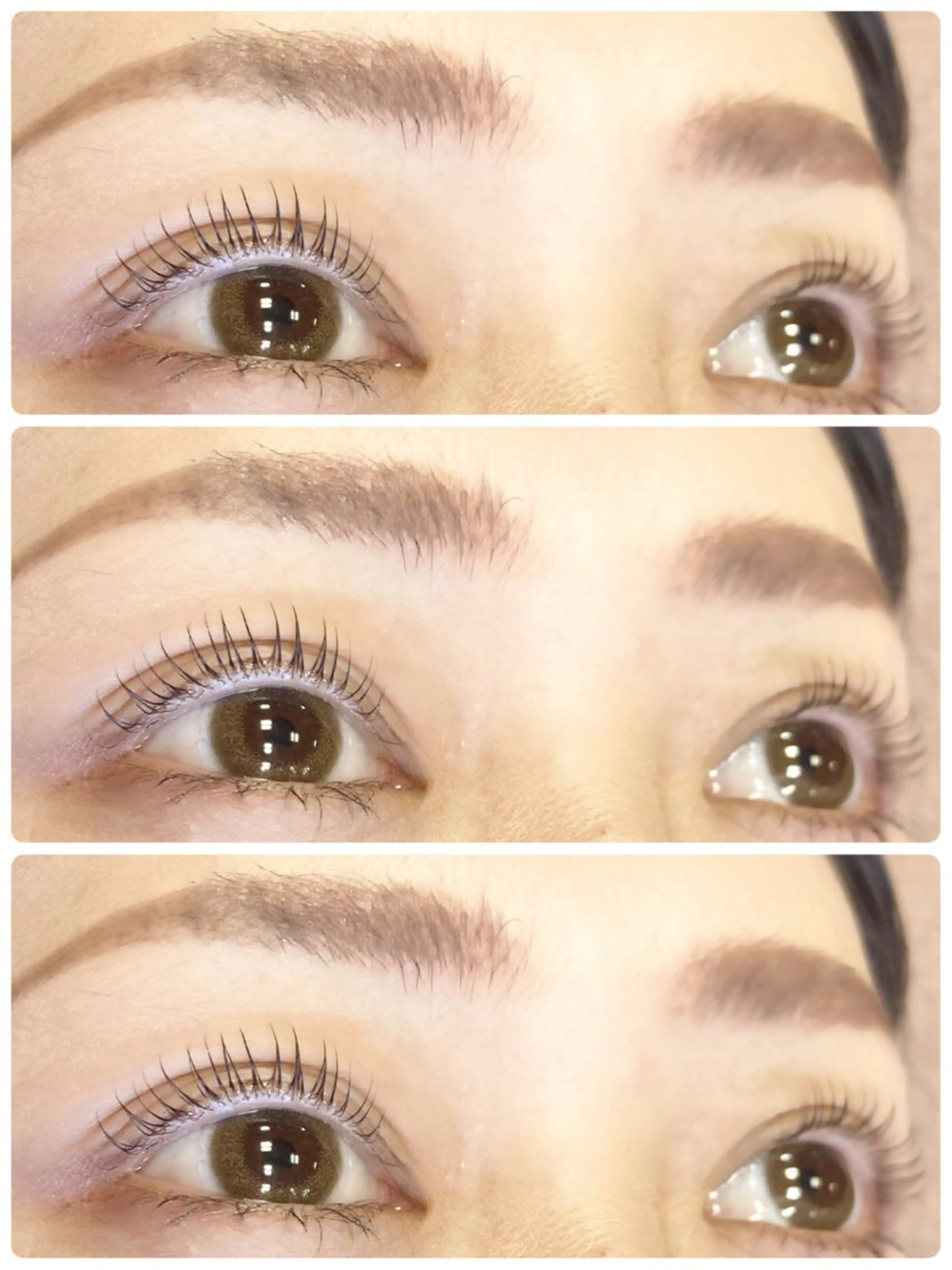 【再来】選べるまつ毛パーマ5500円👀の写真