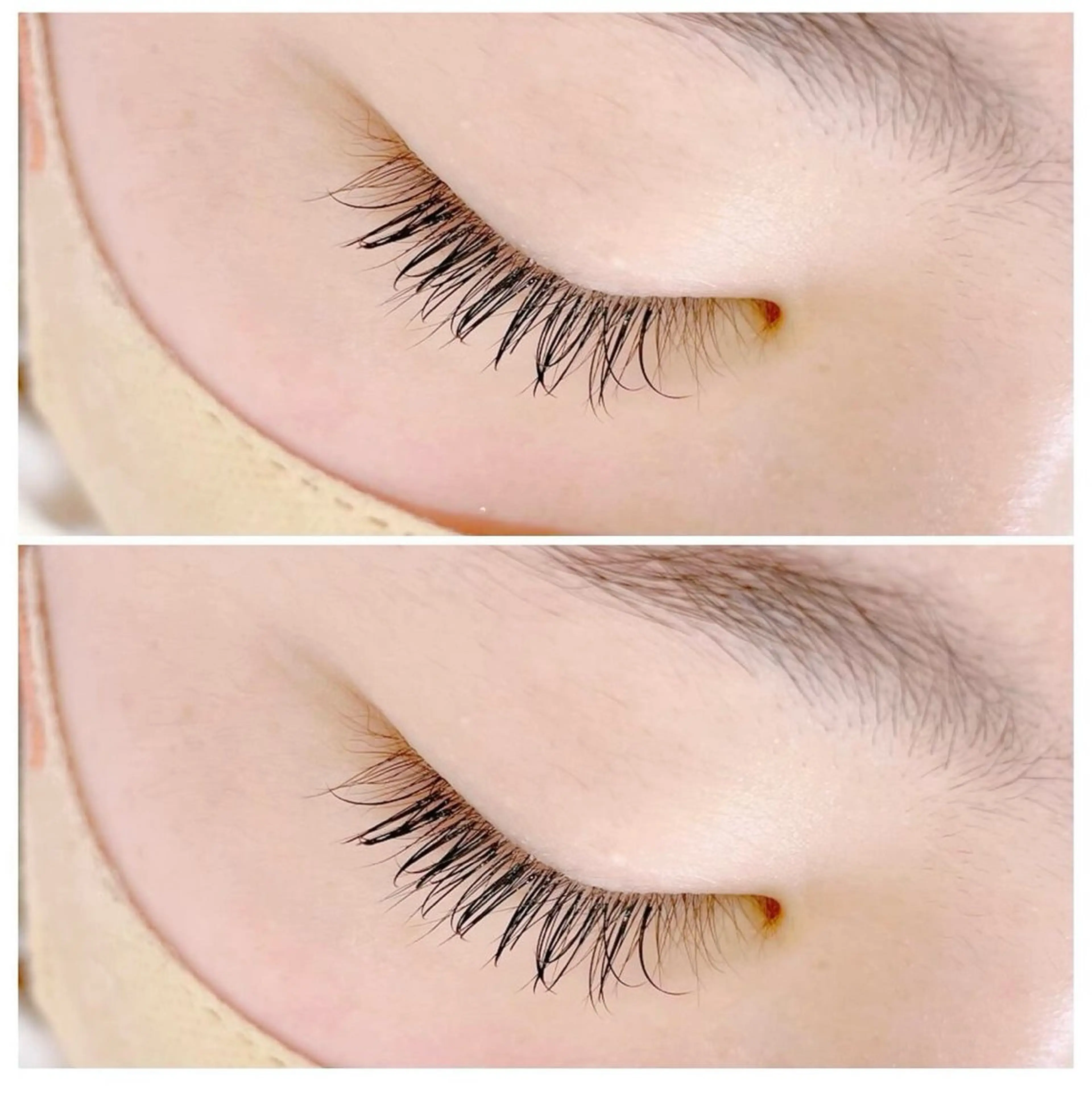 高校生まで40本の写真