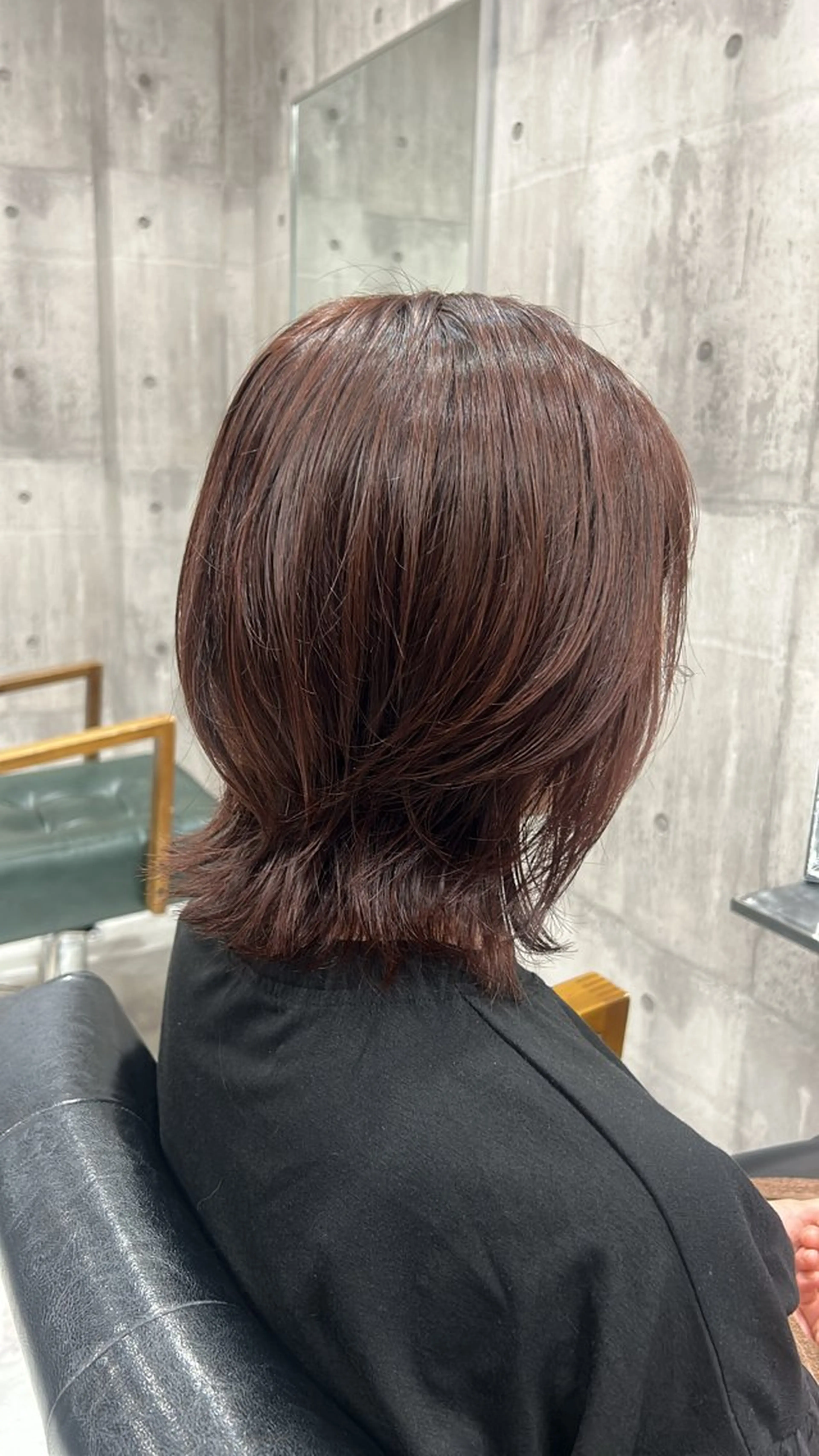 《当日限定🤍*⋆✩⃛⁎ケア艶カラー➕3️⃣ステップトリートメント!!!!!💆🏻♀️🌿の写真