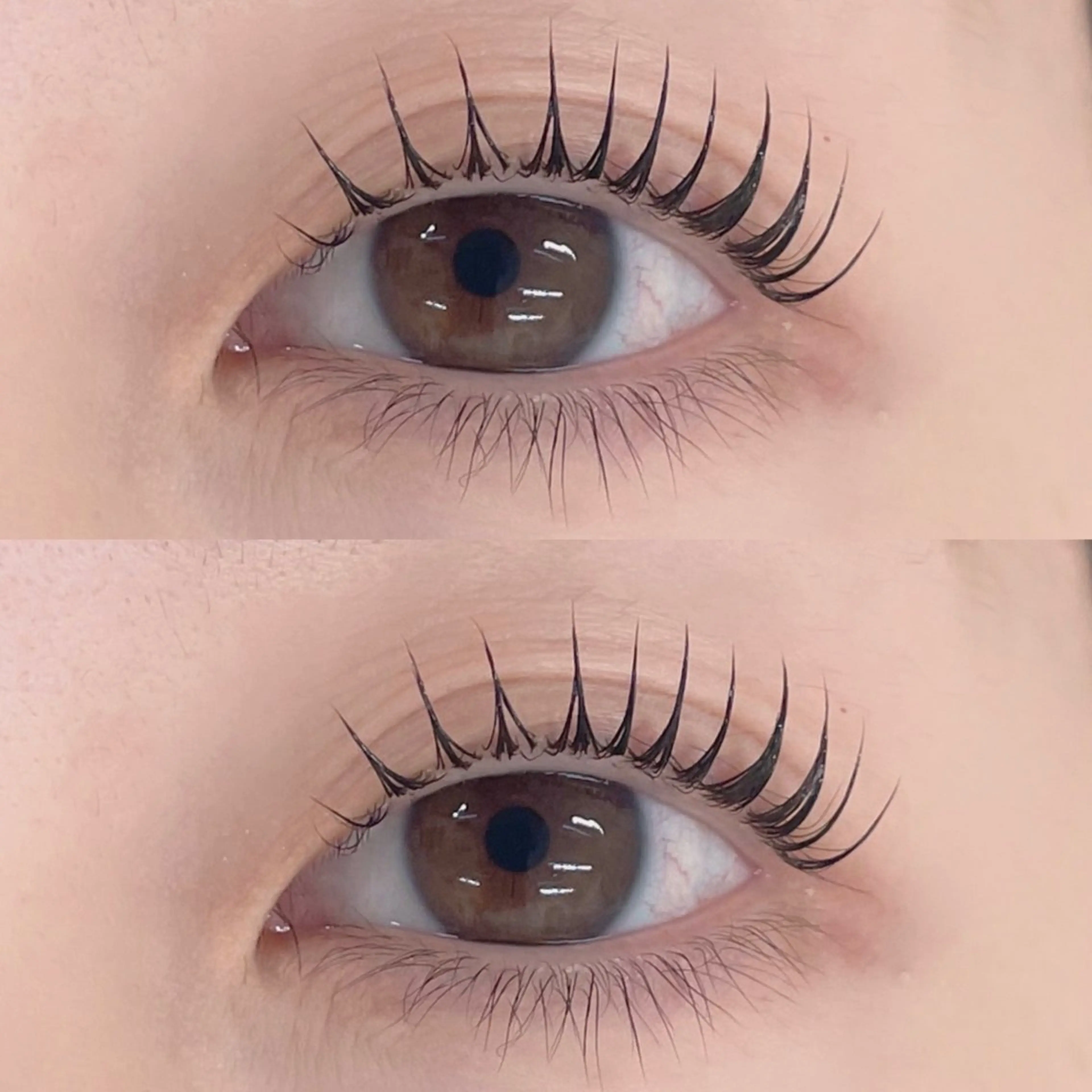 マツエク・マツパ 【武蔵境店】工藤 さくらのマツエク・マツパデザイン