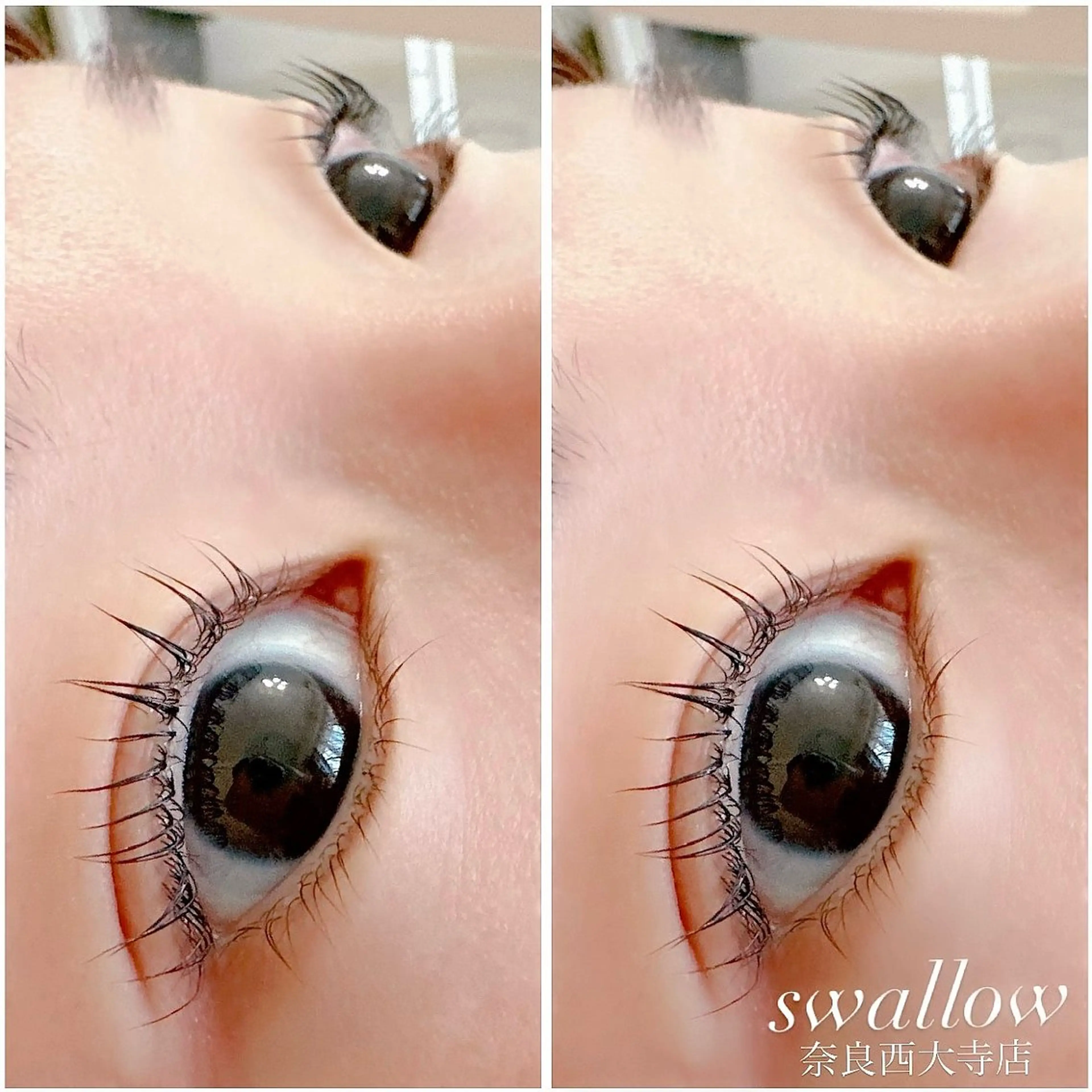 マツエク・マツパ swallow 奈良西大寺店のマツエク・マツパデザイン