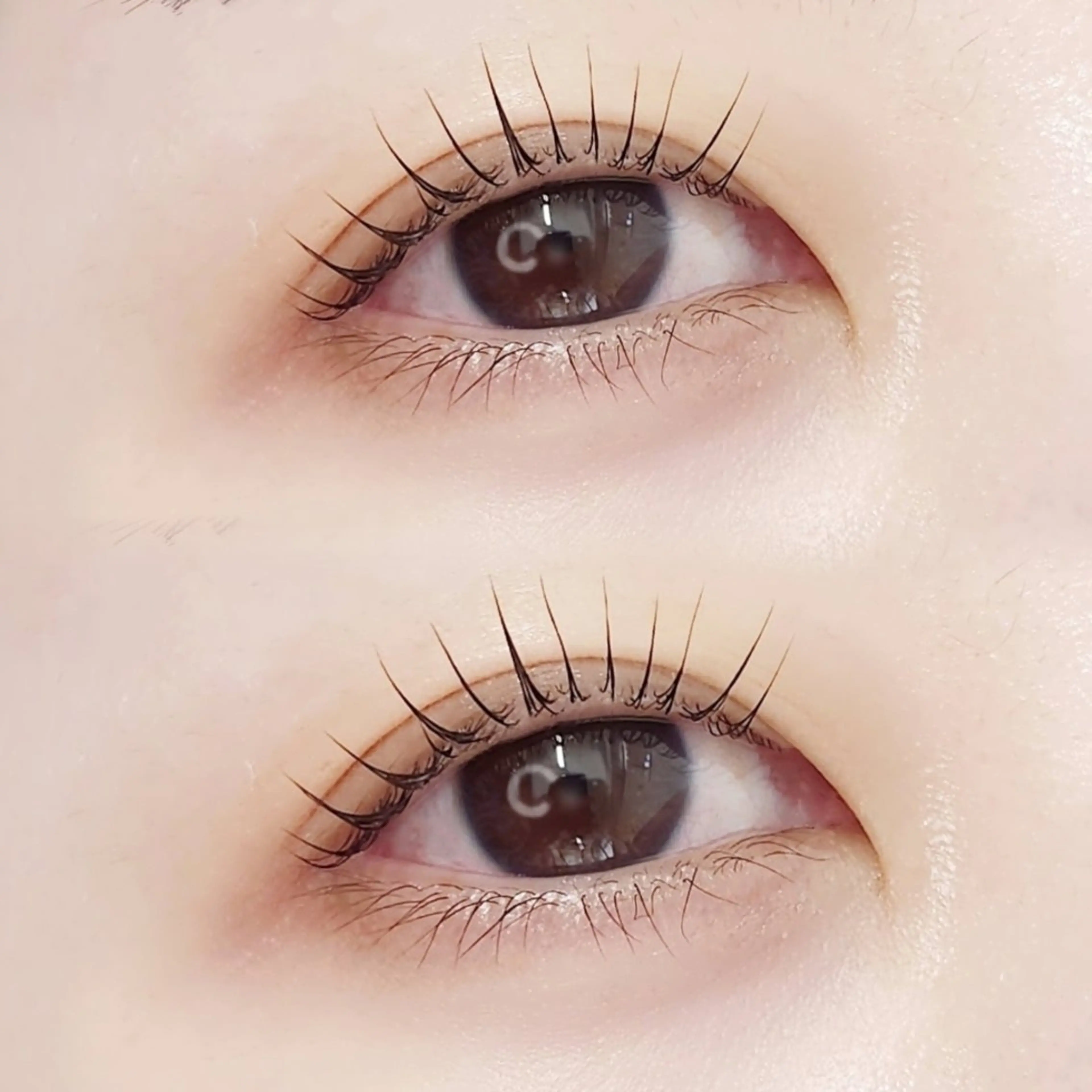 【新規】《4/14(火)》🤍パリジェンヌラッシュリフト︎🤍の写真