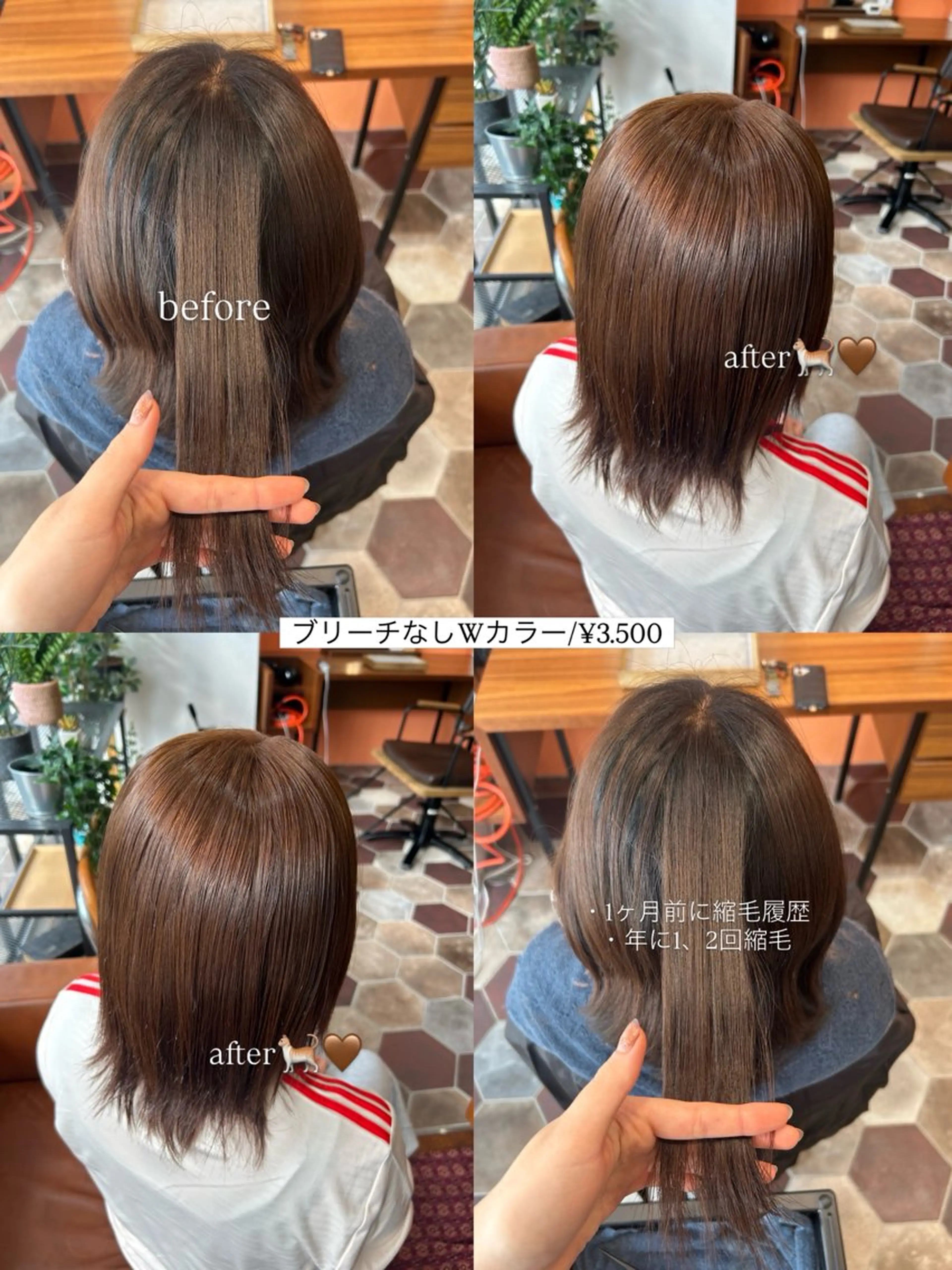 ミディアム カラー ブリーチ ブラウンカラー 透明感カラー ブリーチなしカラー ヘアカラー 佐藤光華/JANU /カラーモデルのヘアスタイル