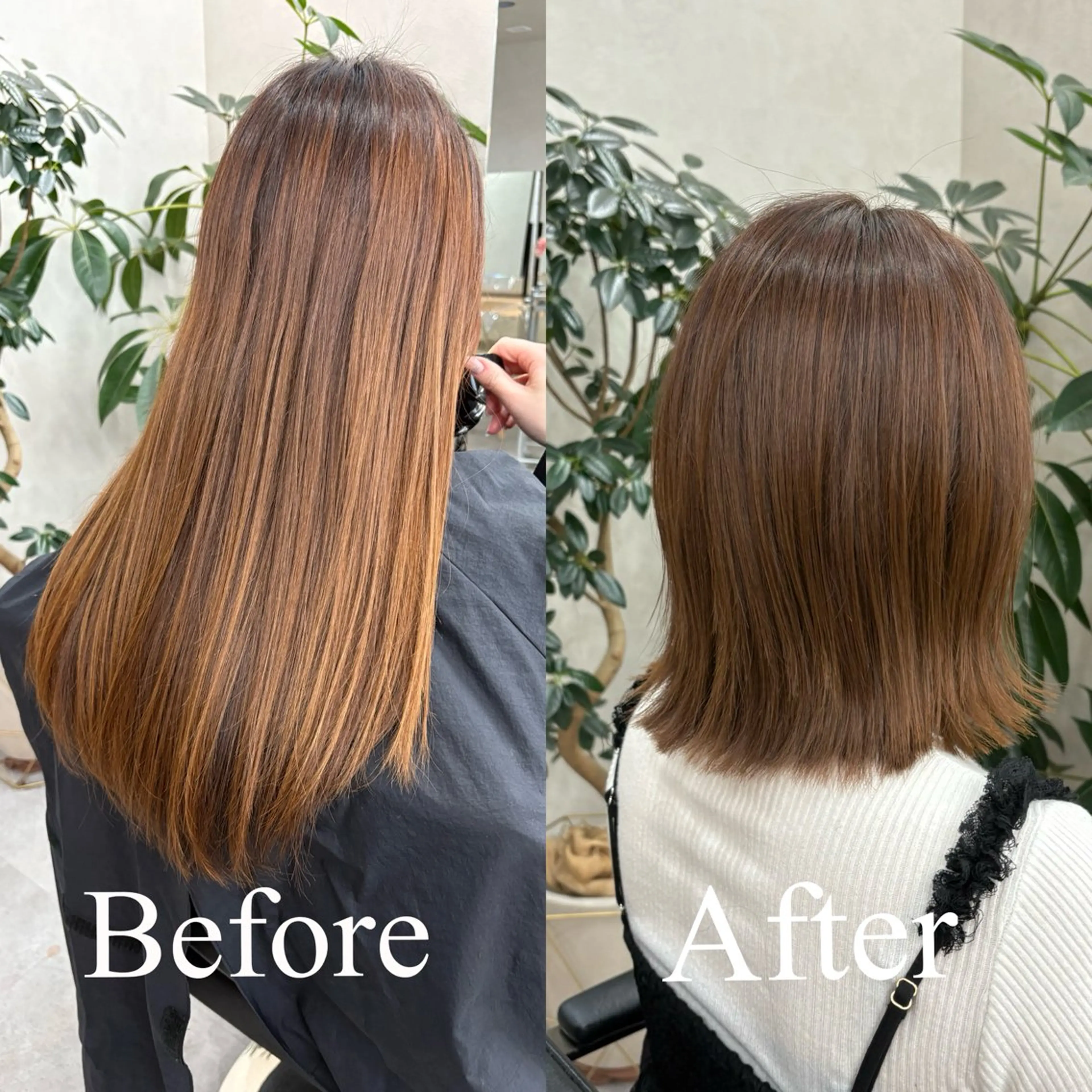 ミディアム カラー ボブレイヤー アッシュ ベージュカラー ボブ レイヤーカット カット ヘアカラー トリートメント 🌿ボブ/縮毛矯正/ 透明感カラー🌿神永のヘアスタイル