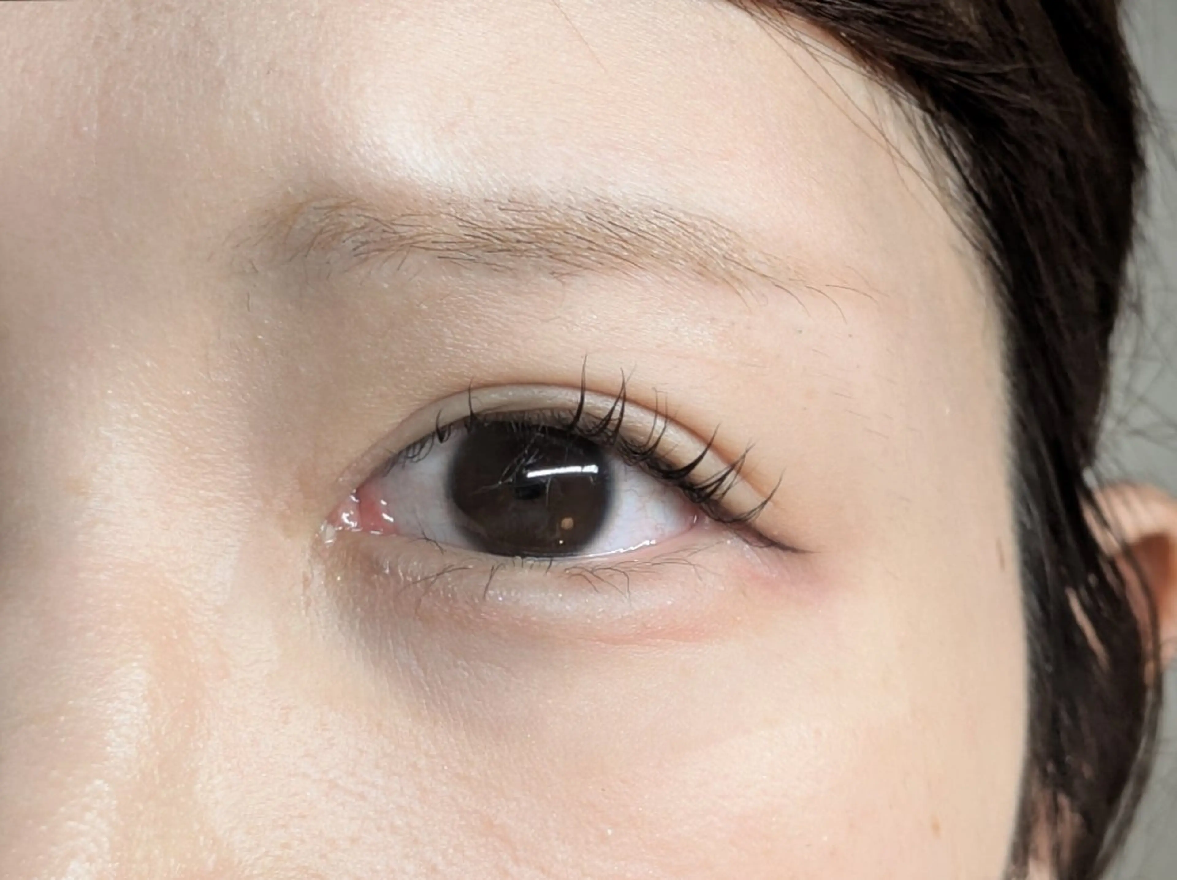 マツエク・マツパ まつげパーマ Sun Brown Ryu-gaのマツエク・マツパデザイン