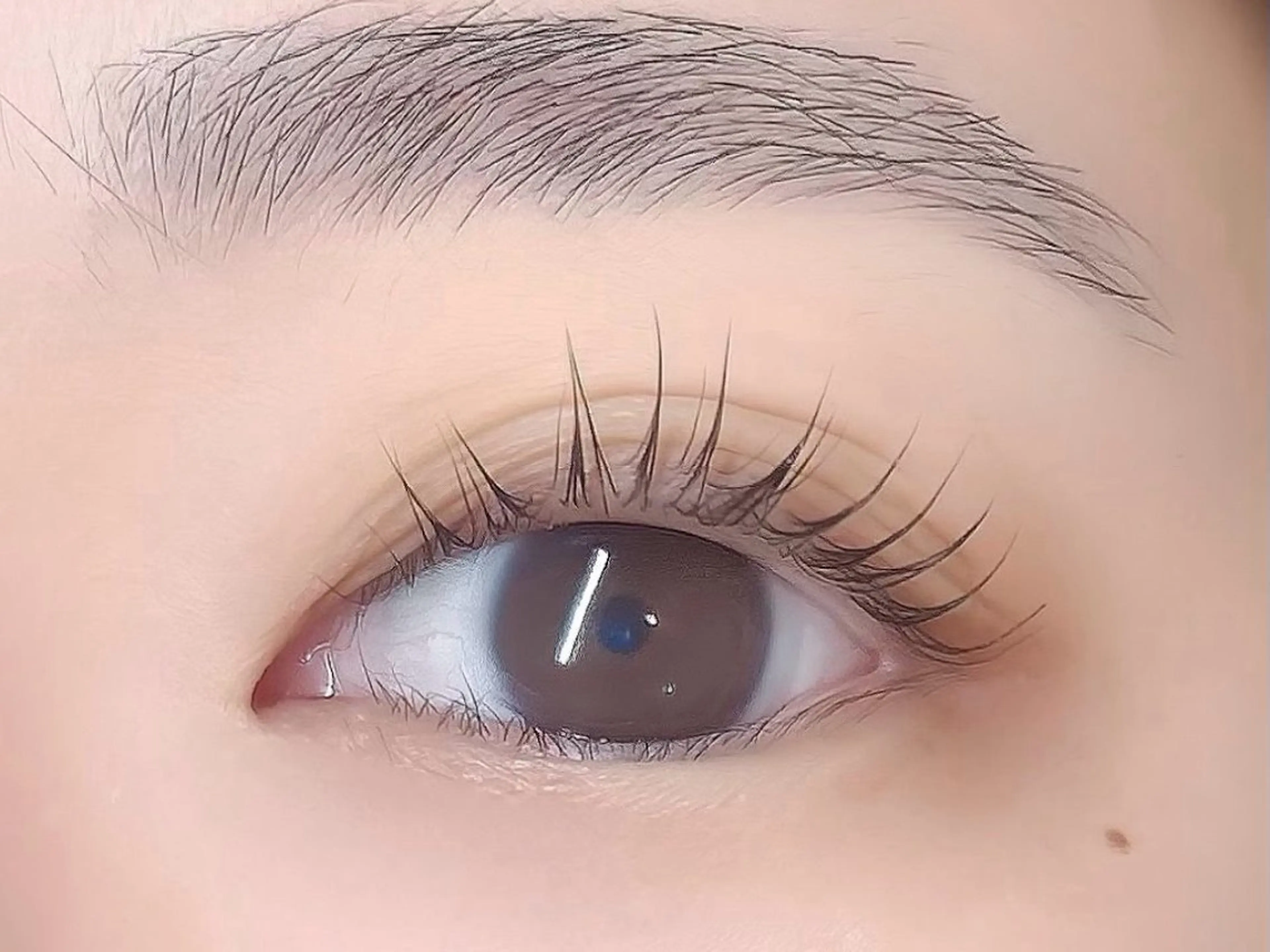 マツエク・マツパ まつげパーマ マツパ ecru.eye 【元住吉】のマツエク・マツパデザイン