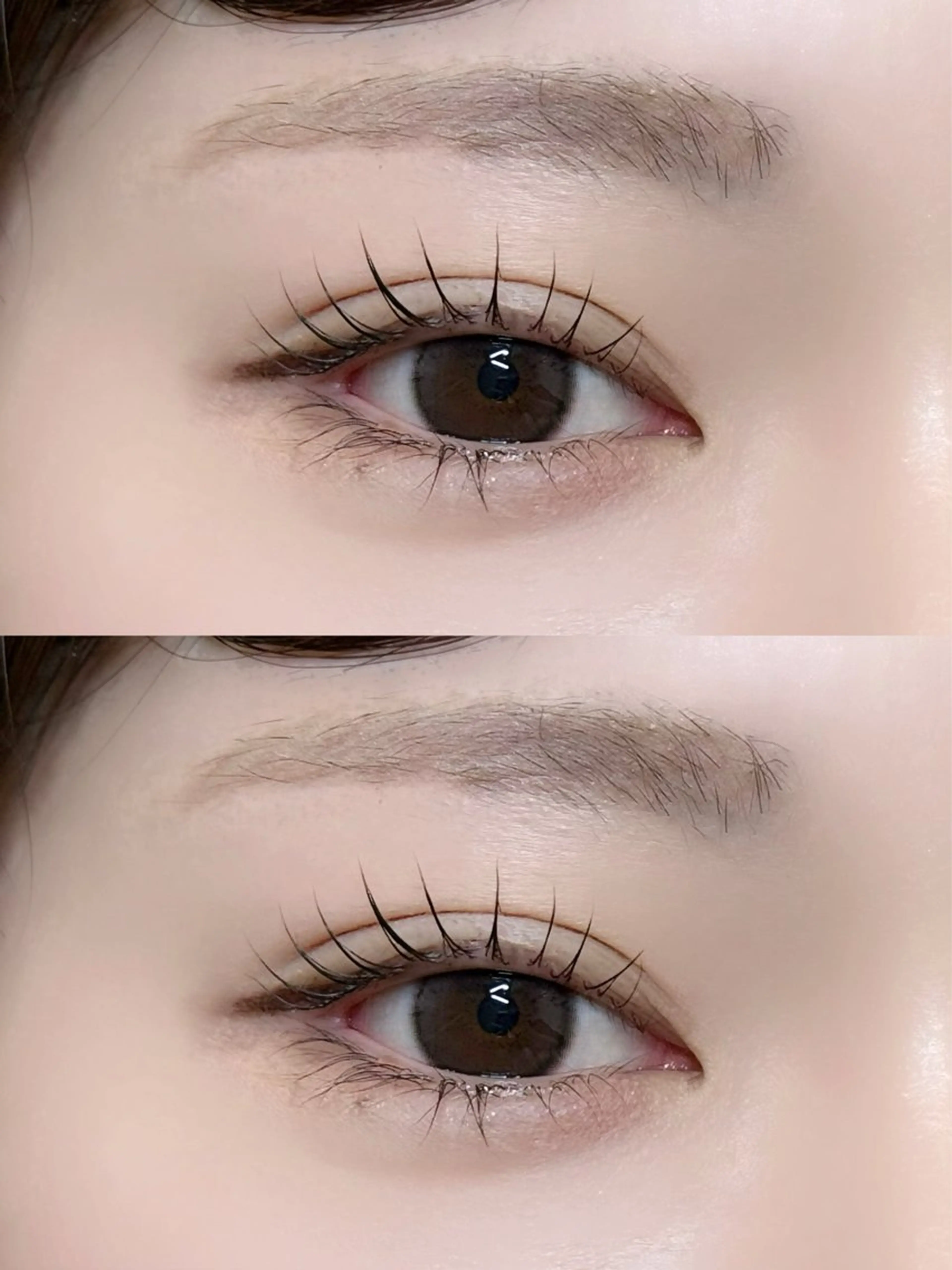 ãããšã¯ã»ããã ããã ðð¢ð ð¡ð yuzukið«§ã®ãããšã¯ã»ããããã¶ã€ã³