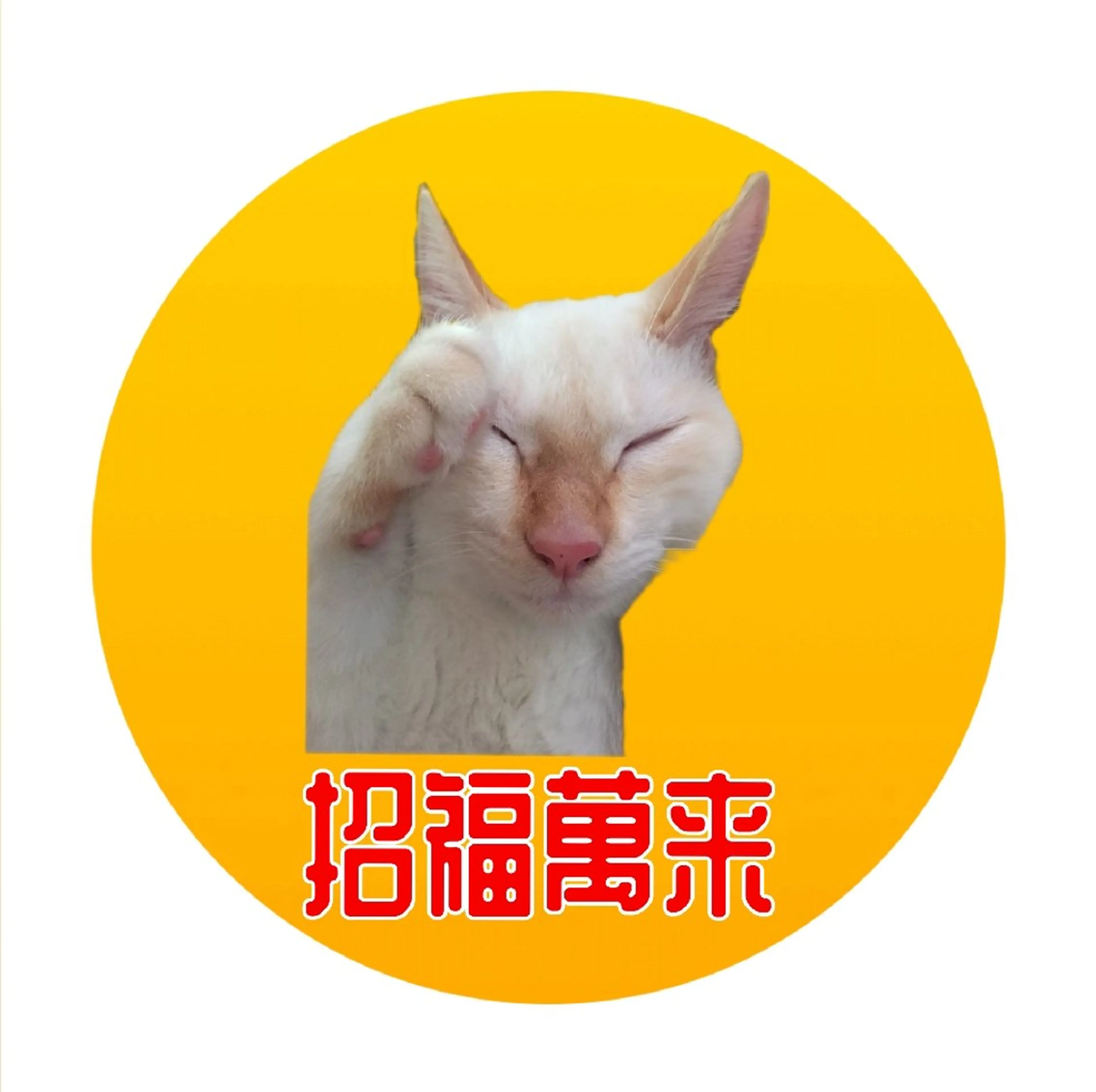 ミニモ限定 気穴整え 全身整体(全身60分)の写真