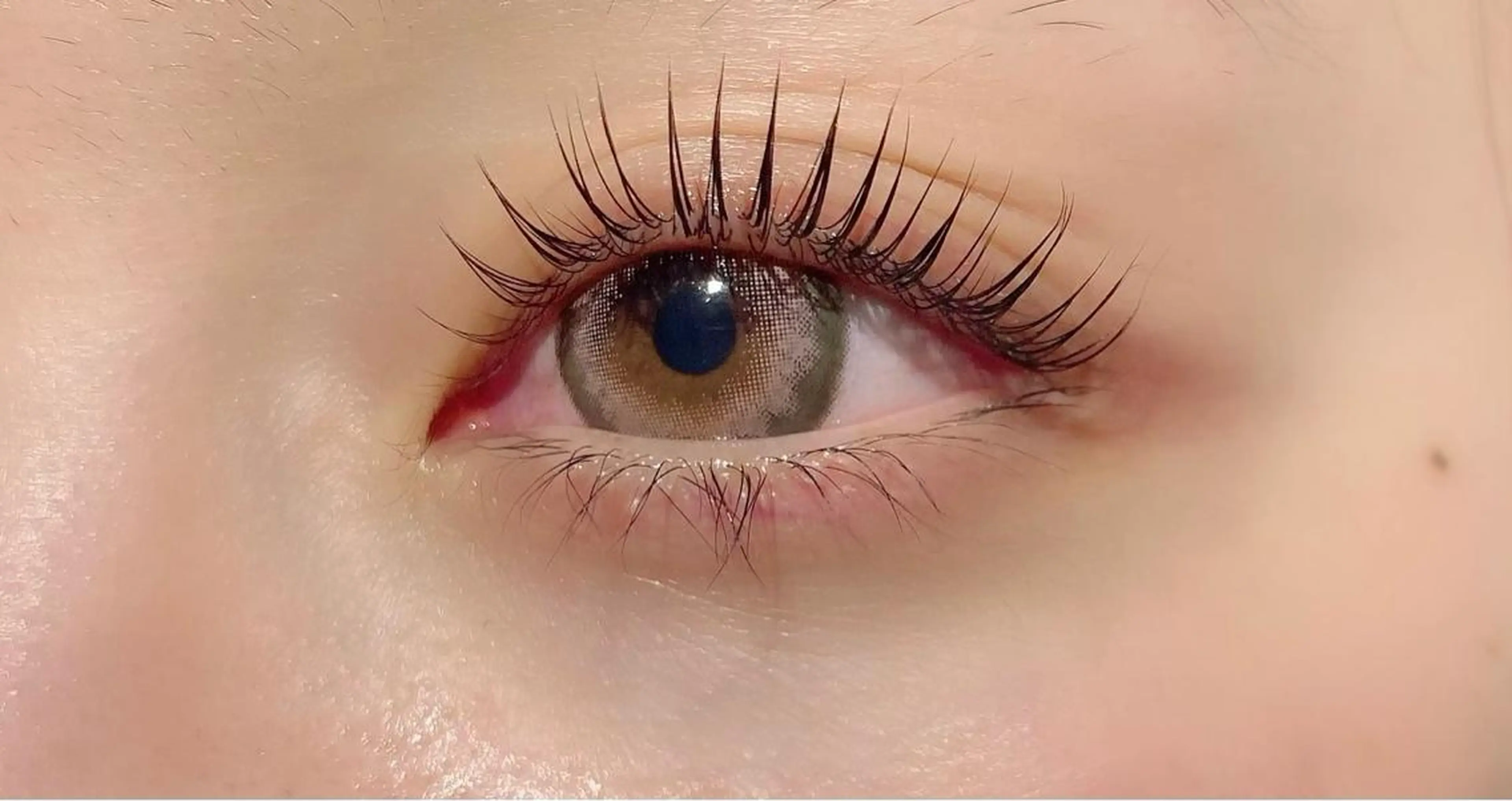 【新規・2回目限定】パリジェンヌラッシュリフト+ケラチンTr +美容液仕上げの写真