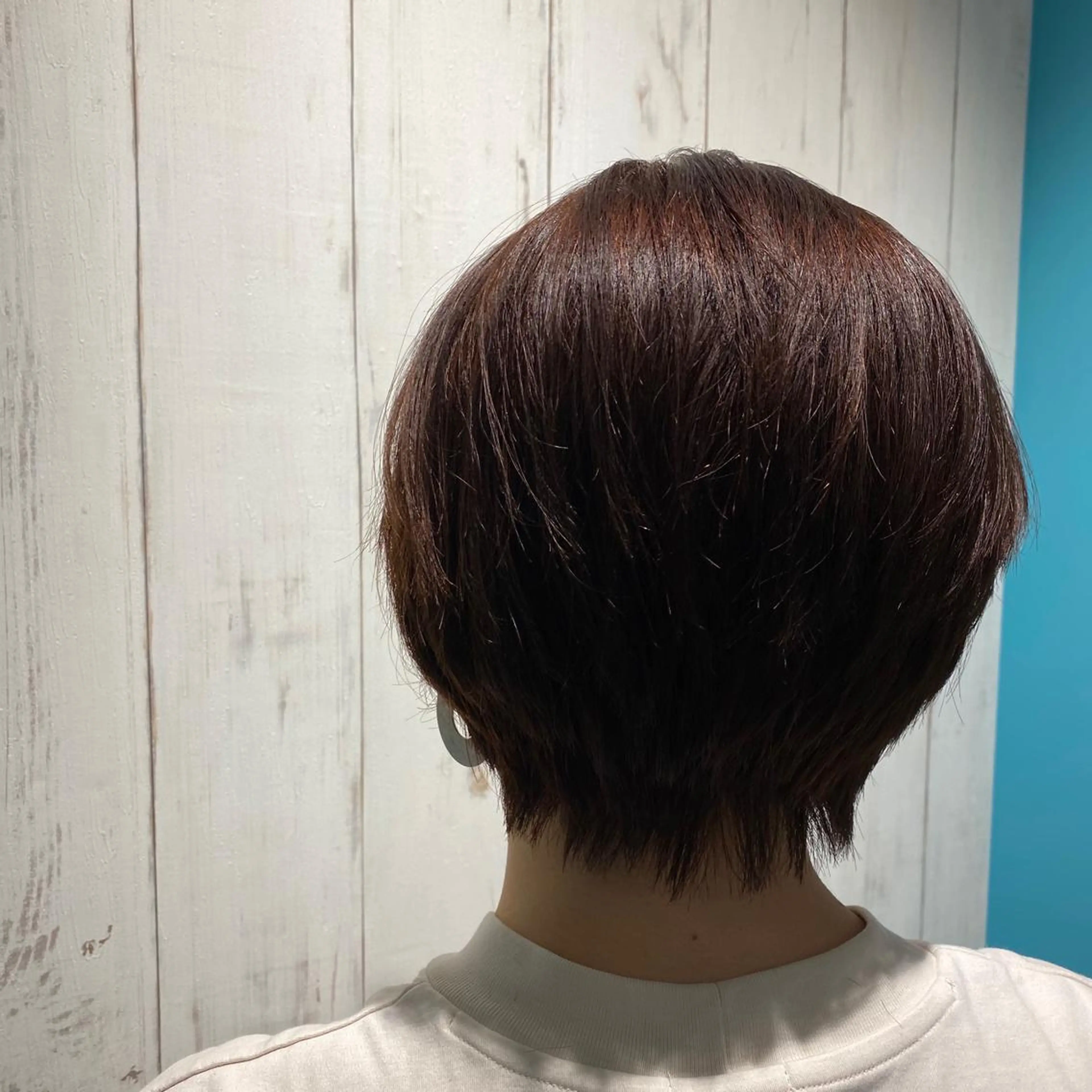 ショート カラー 透明感カラー🌈 菊池 結衣のヘアスタイル