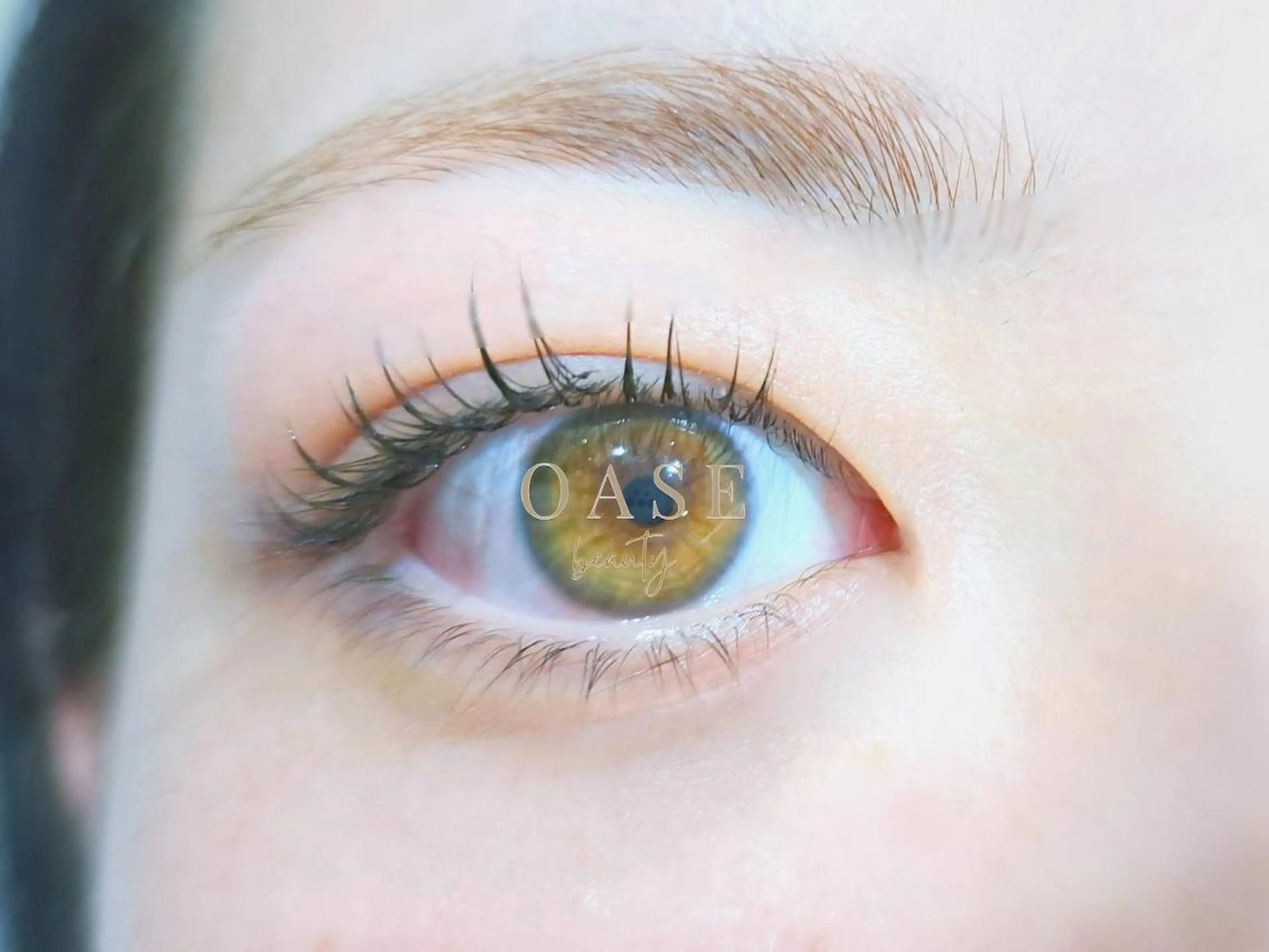 【オードリー】フラットマットラッシュオフ込 100本の写真