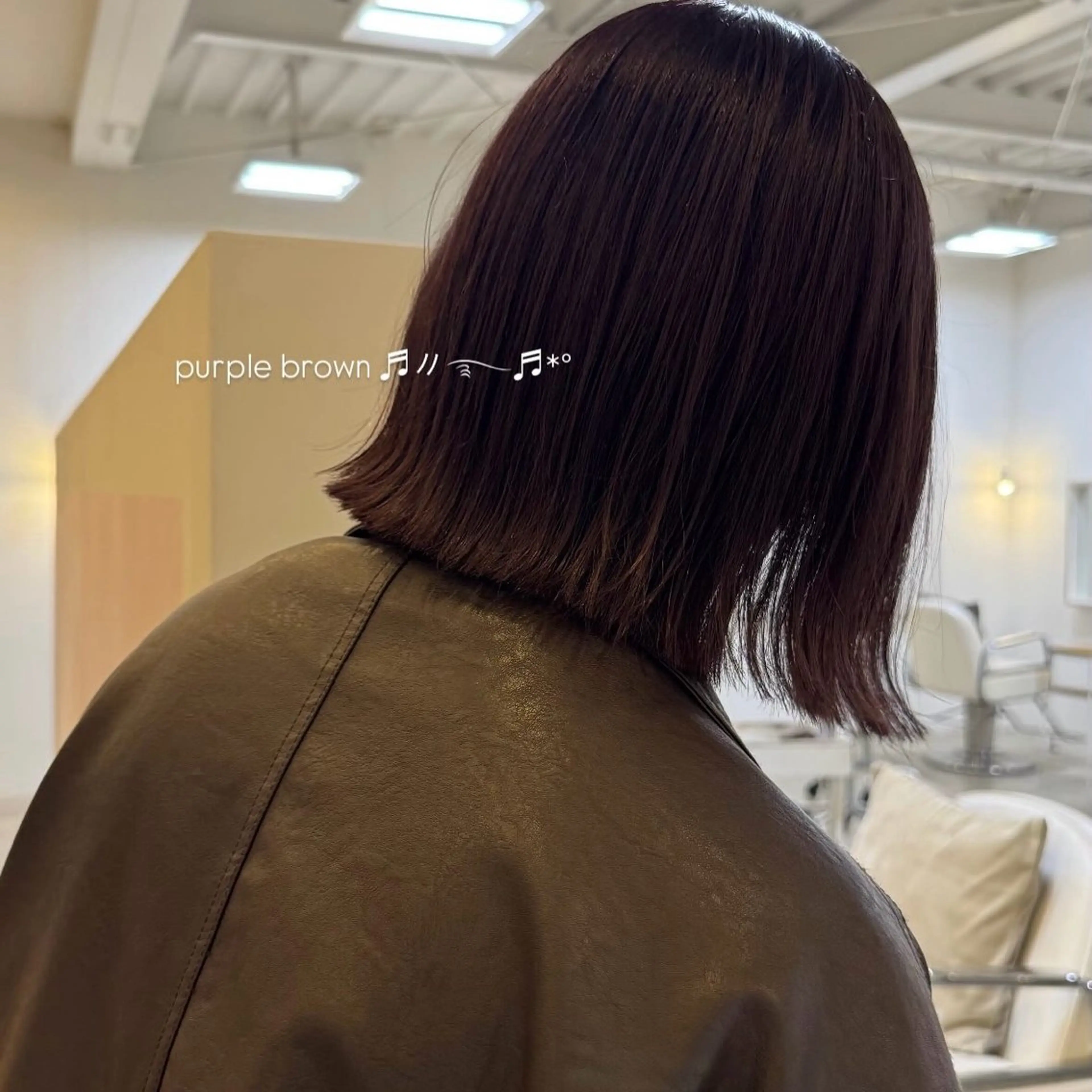 ファッションカラーの写真