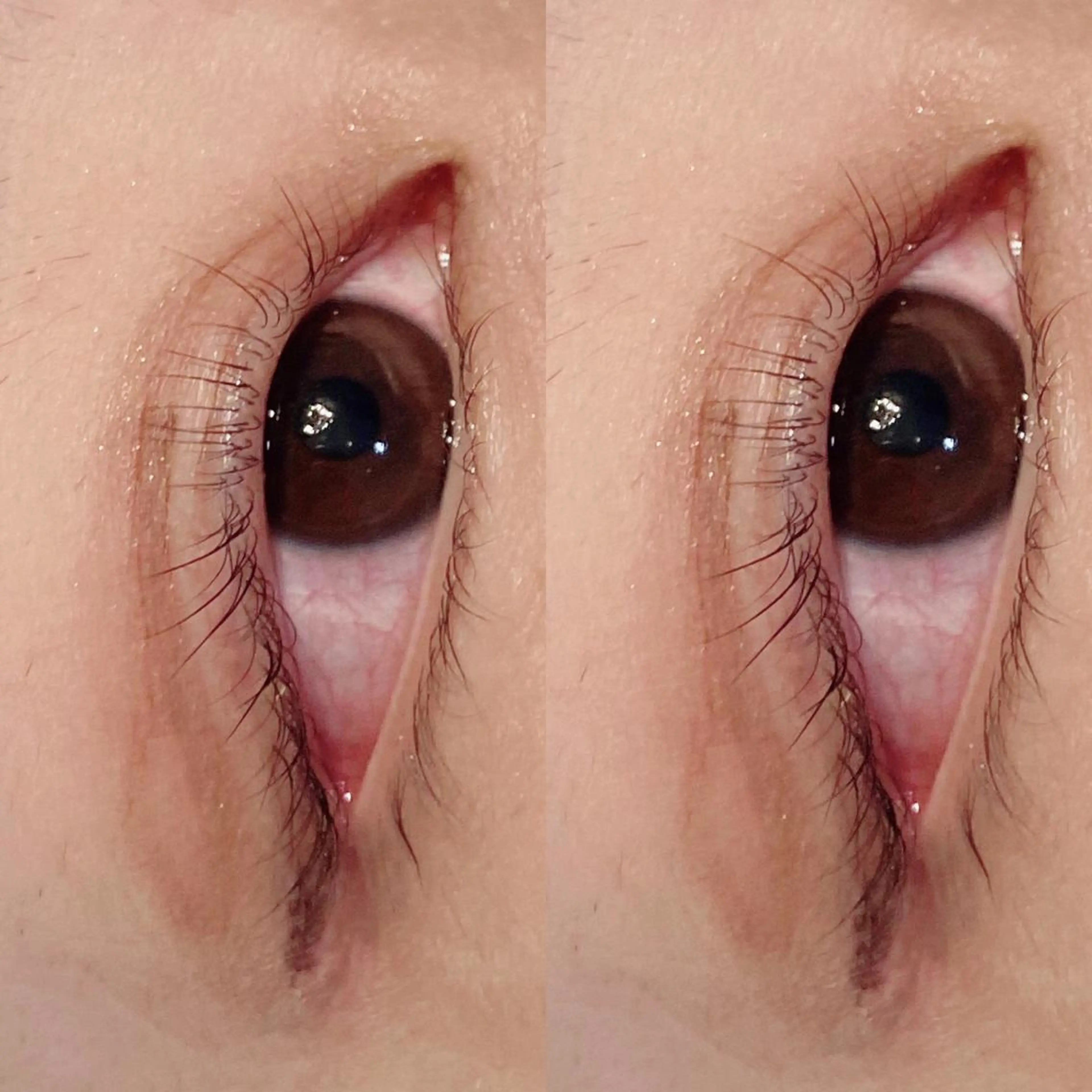 マツエク・マツパ パリジェンヌラッシュリフト Bianca 長津田店　長牛の眉毛・アイブロウイメージ