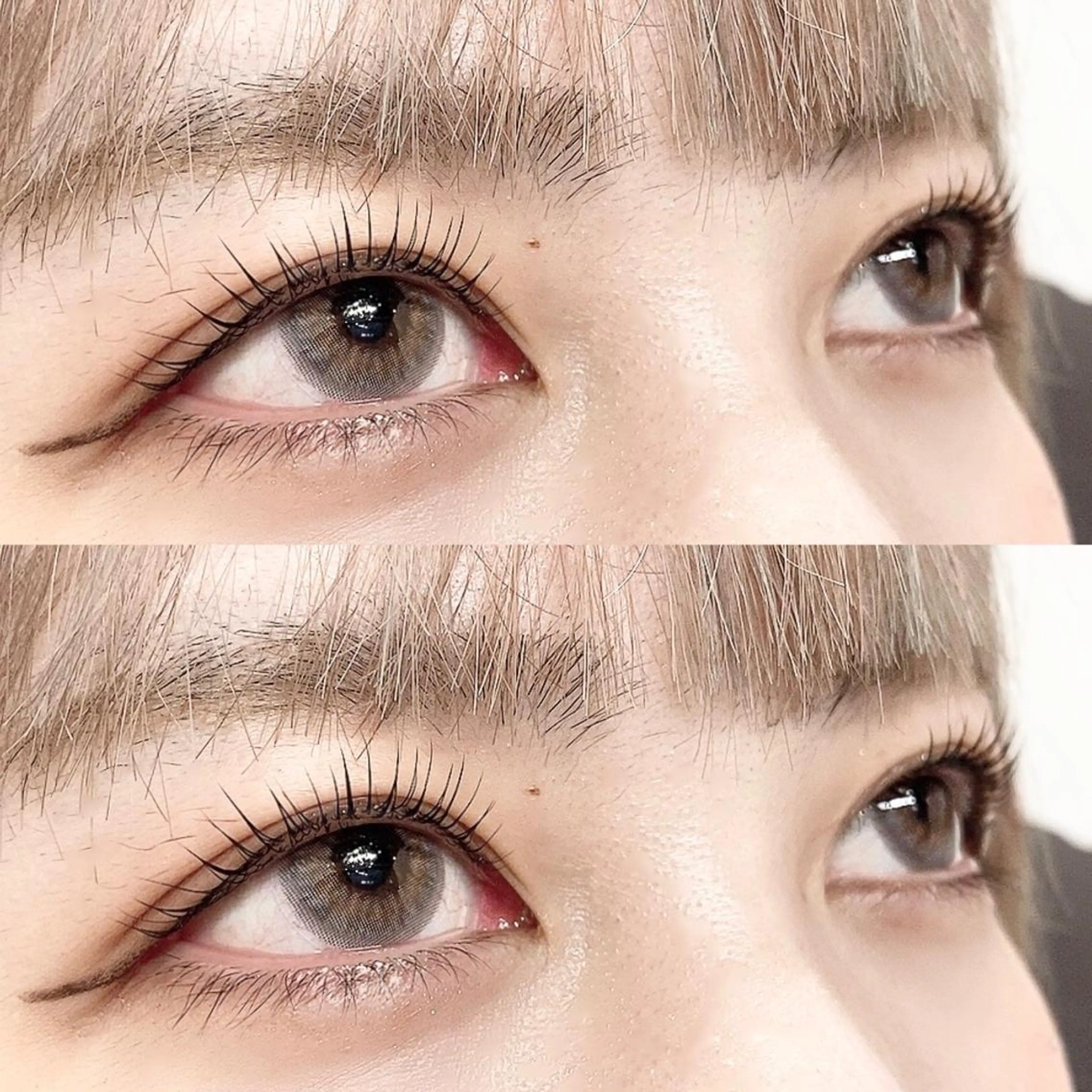 【当店1番人気🌟】🐻❄️似合わせまつ毛パーマ➕美容コーティングの写真