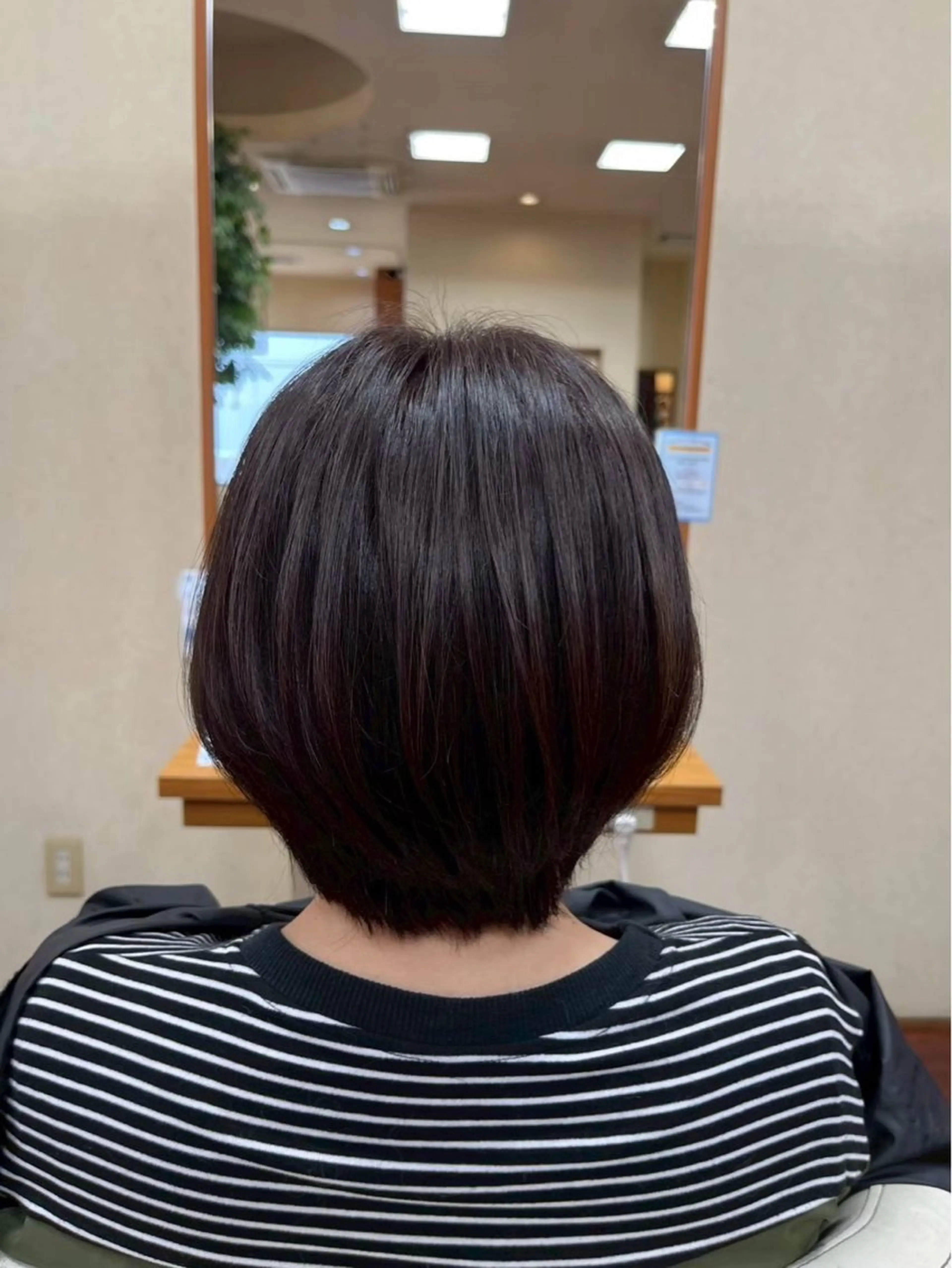 ショート 阿部 橋之助のヘアスタイル