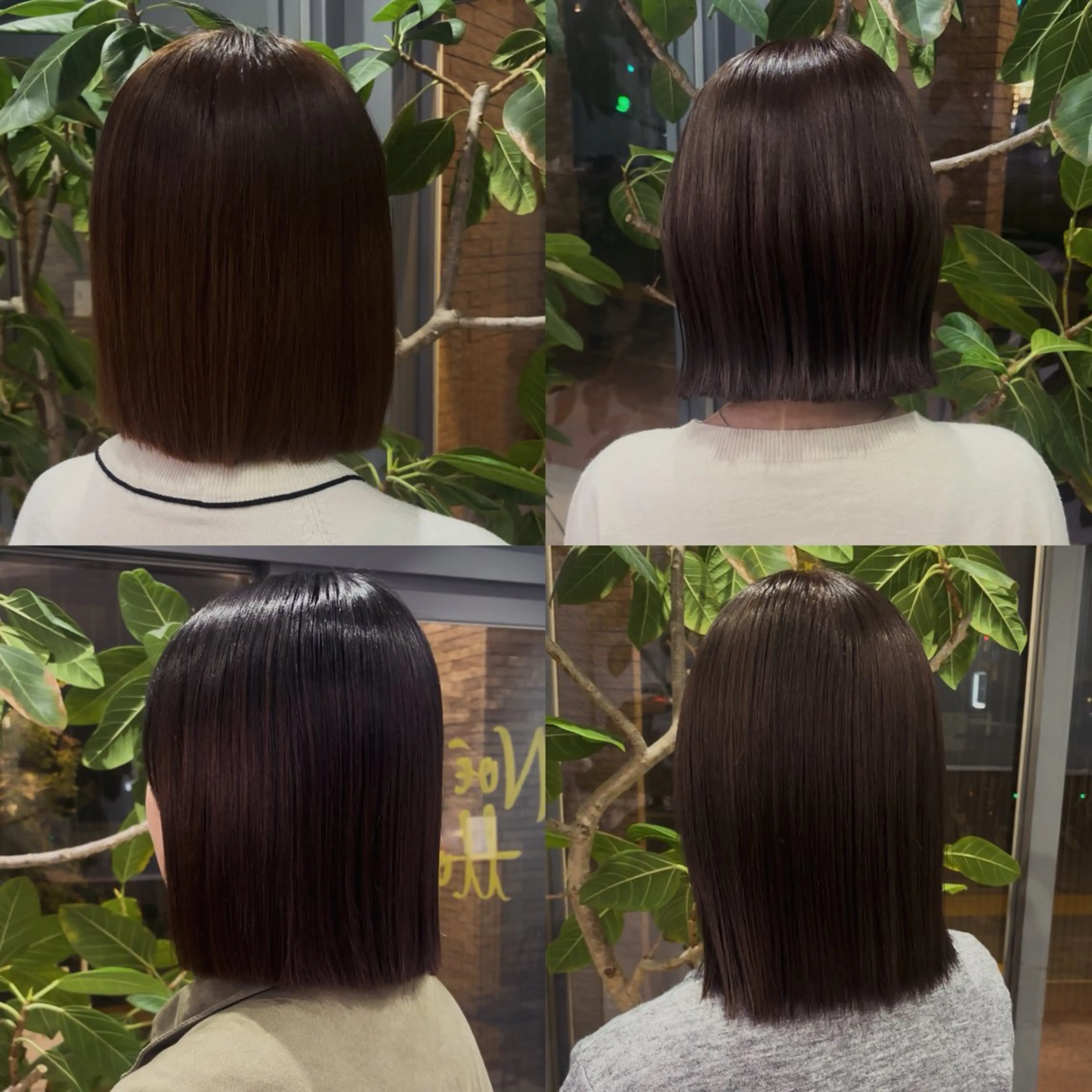 カット 🐈‍⬛JUMI /透明感カラー/🩶のヘアスタイル