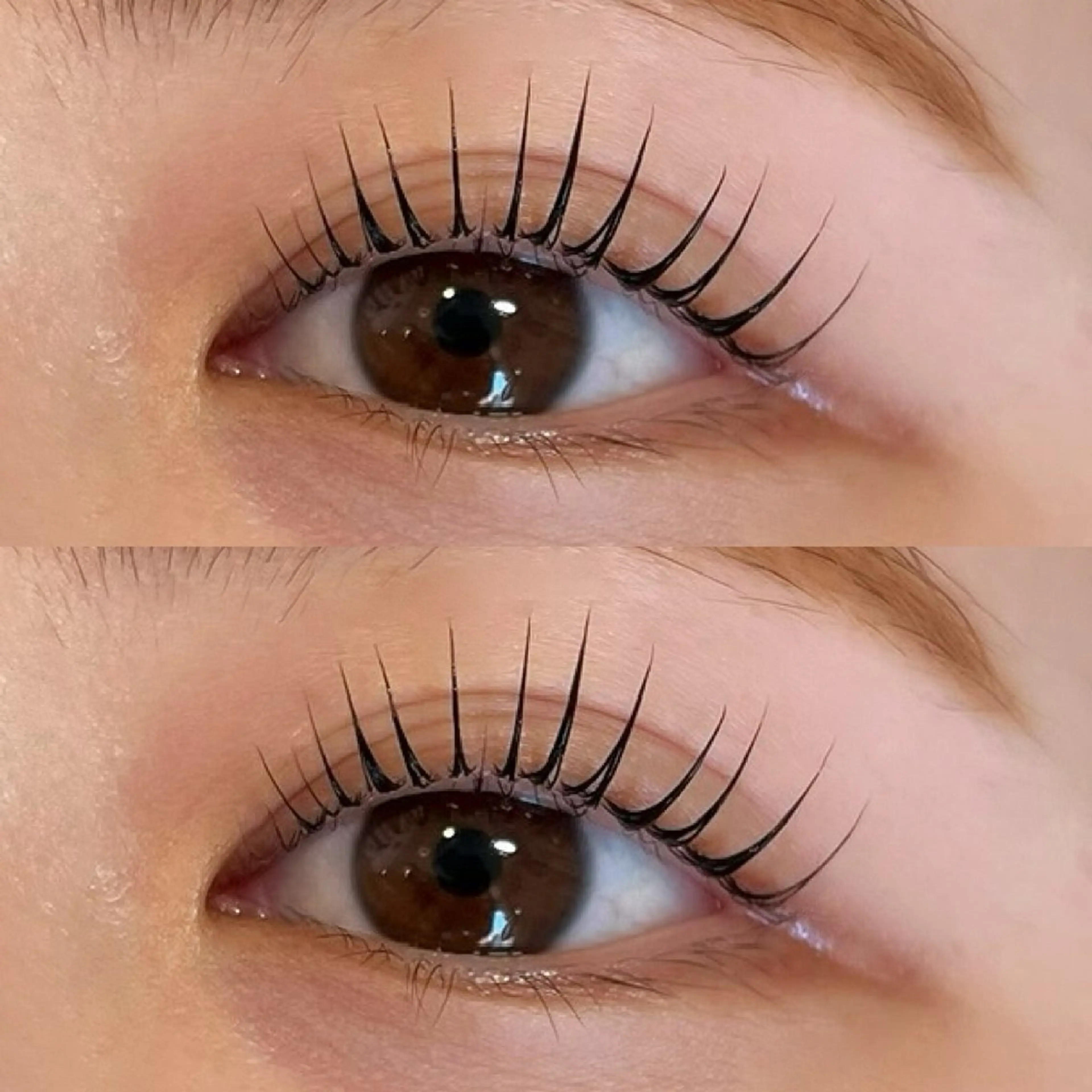 マツエク・マツパ 〰️sofa🪧 Kiguchiのマツエク・マツパデザイン