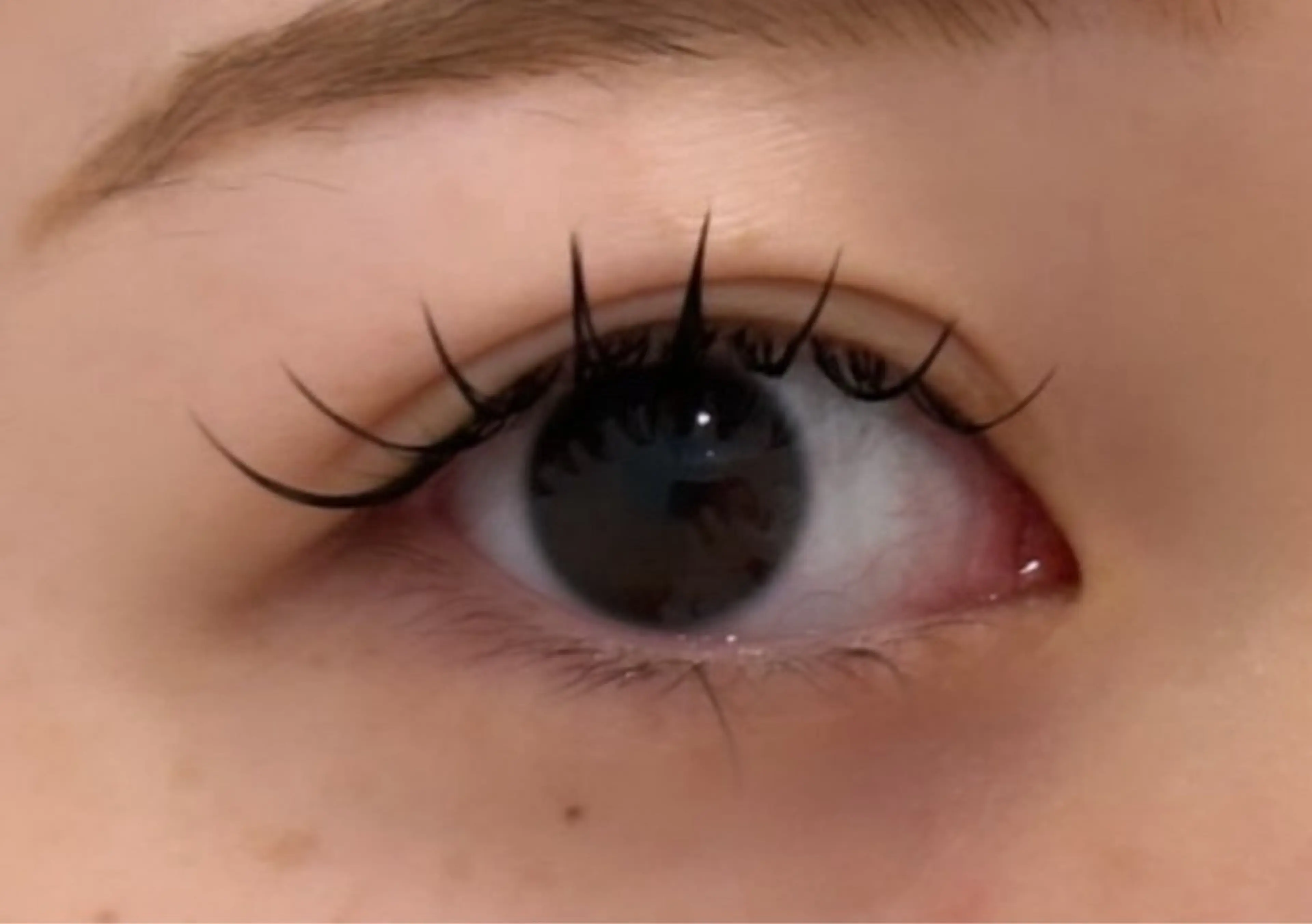 マツエク・マツパ 束感まつ毛 フラットラッシュ 韓国風マツエク chouchou .柏の葉🤍箭内海咲のマツエク・マツパデザイン