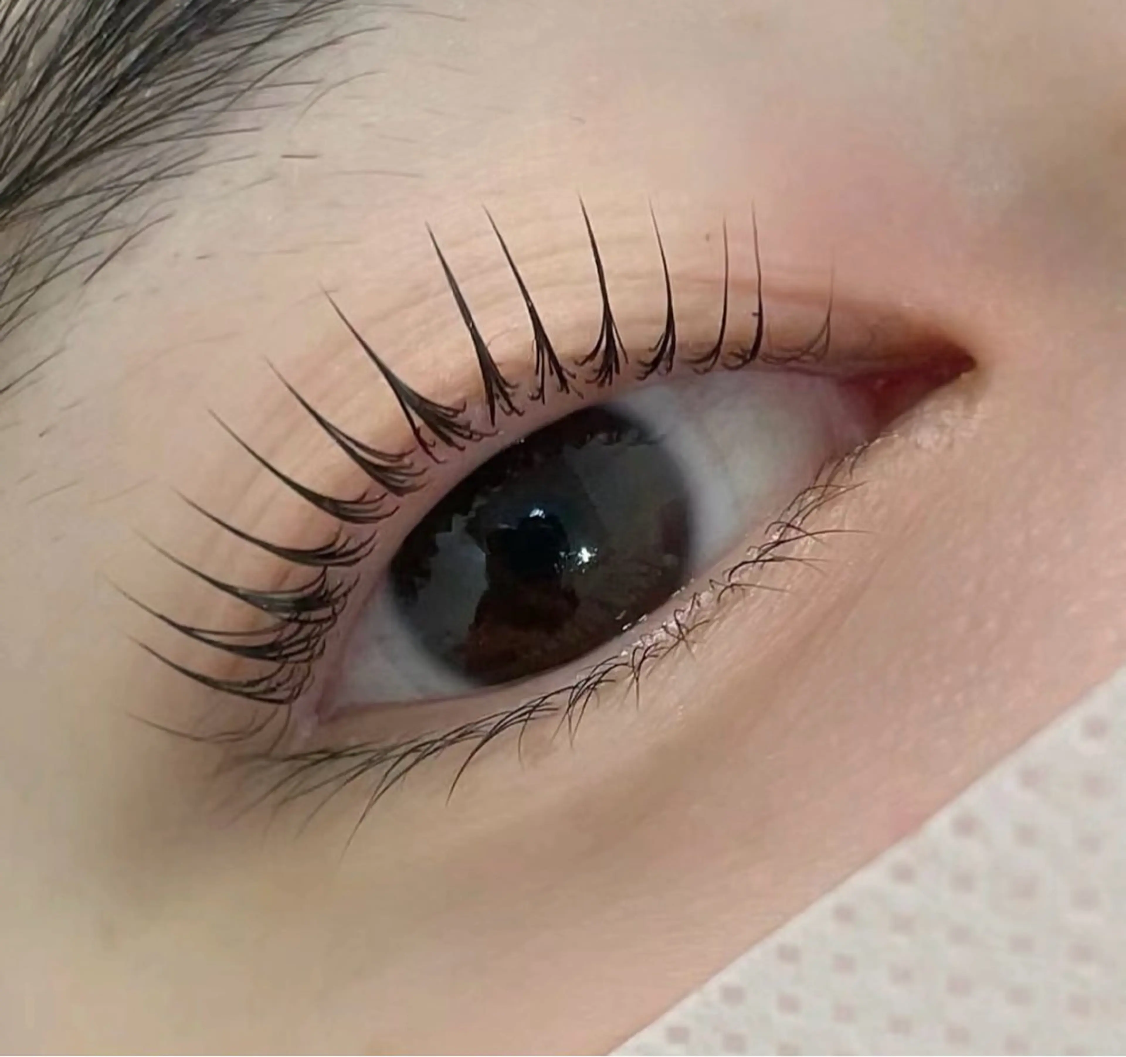 マツエク・マツパ マツパ&パリジェンヌ 専門のマツエク・マツパデザイン