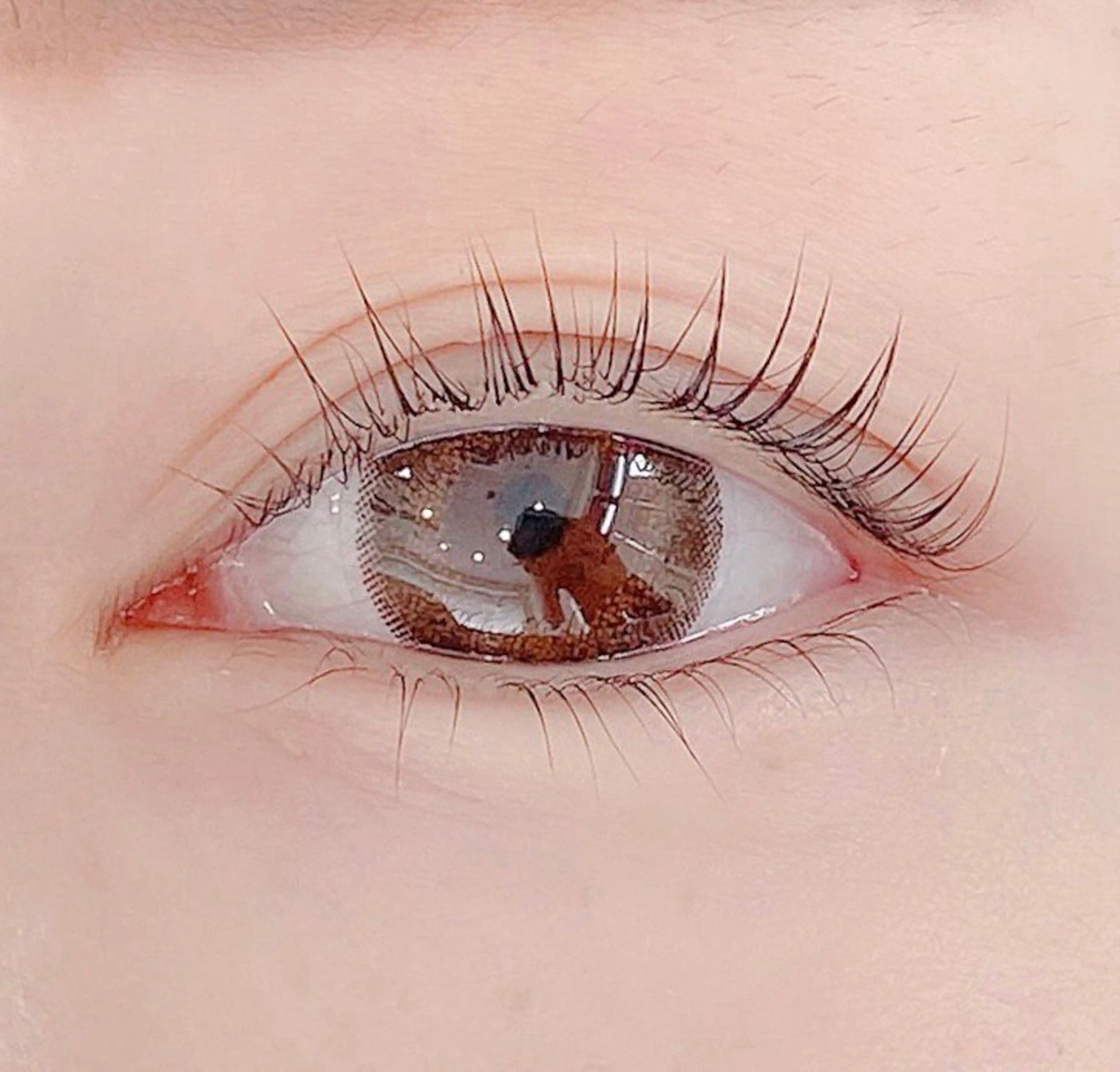 🌟再来🌟上下パリジェンヌラッシュの写真