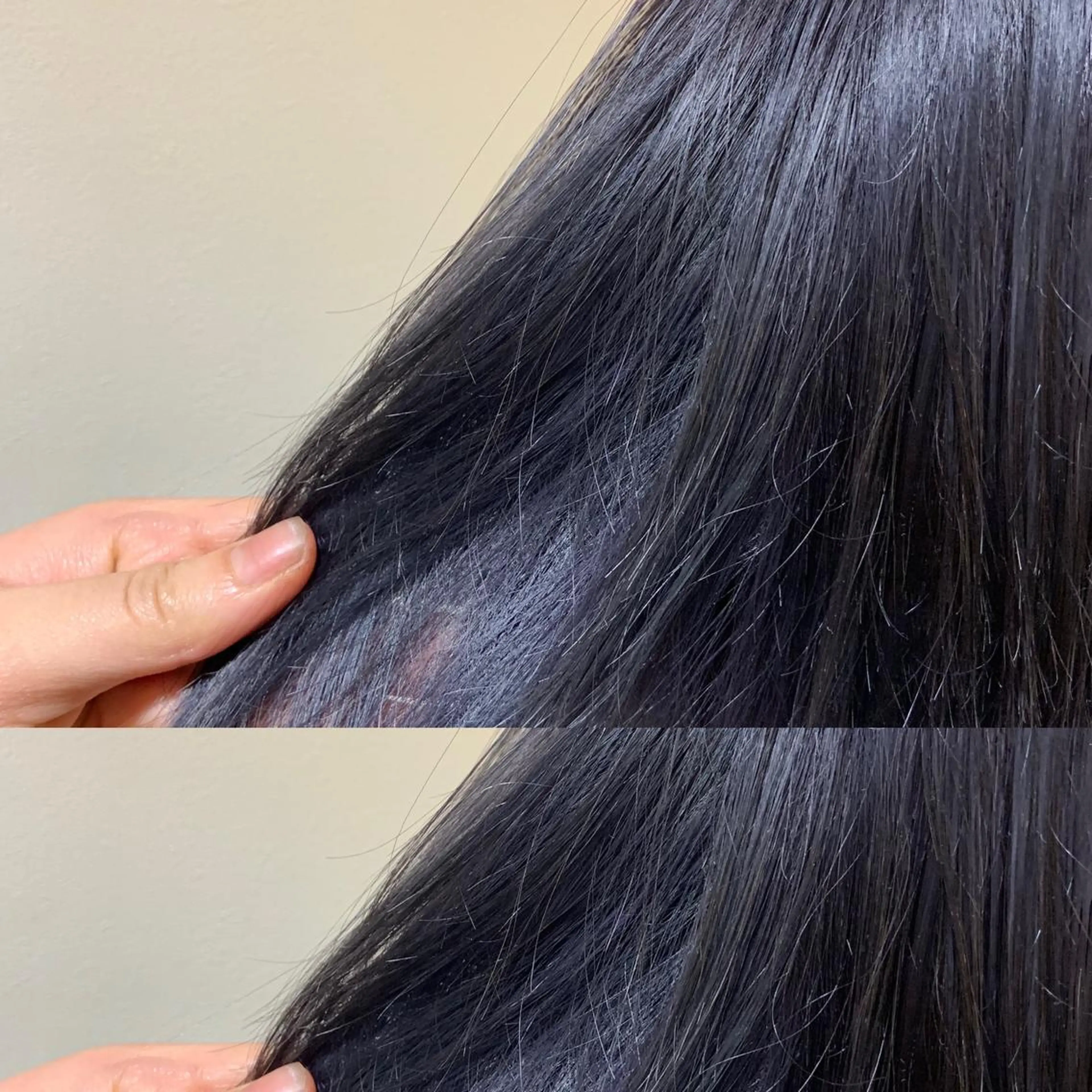 ショート カラー 🤍透明感/韓国風 🤍サクラギヒトミのヘアスタイル