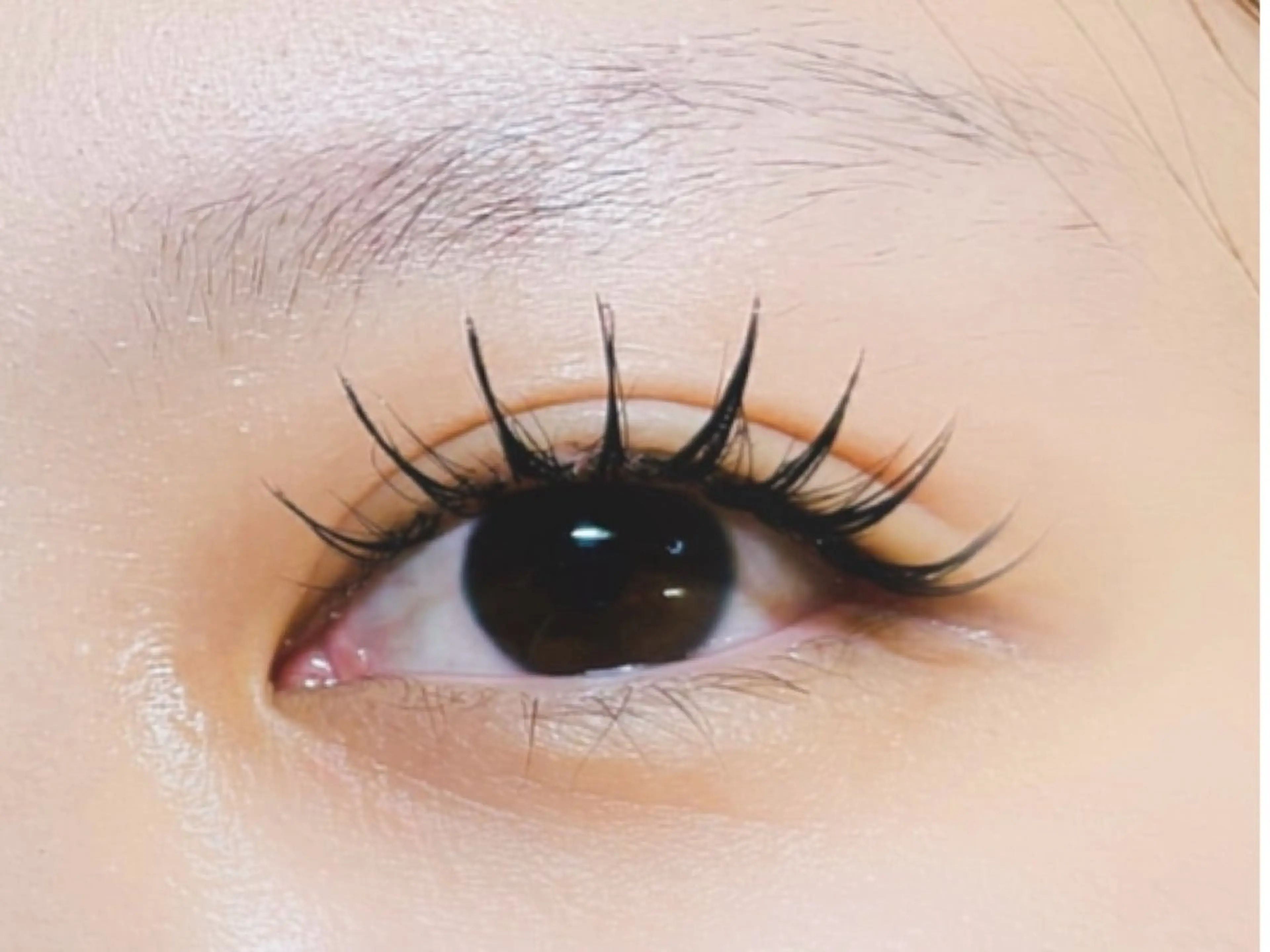 マツエク・マツパ 付け放題 バインドロック 束感まつ毛 フラットラッシュ パリジェンヌラッシュリフト マツエク オーロラ所属・AURORA RINAのマツエク・マツパデザイン