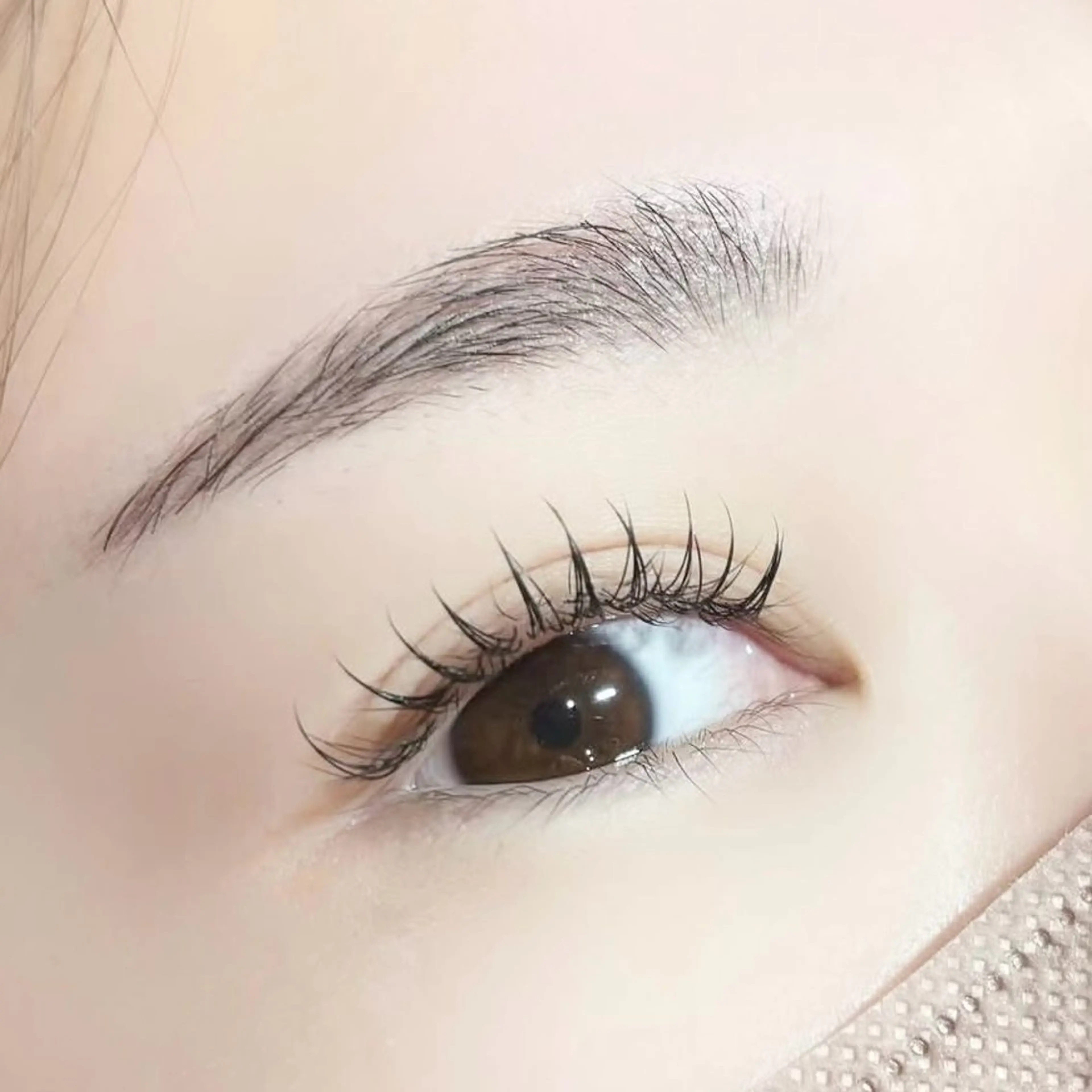 🫧LED×フラット120本(オフ込)の写真