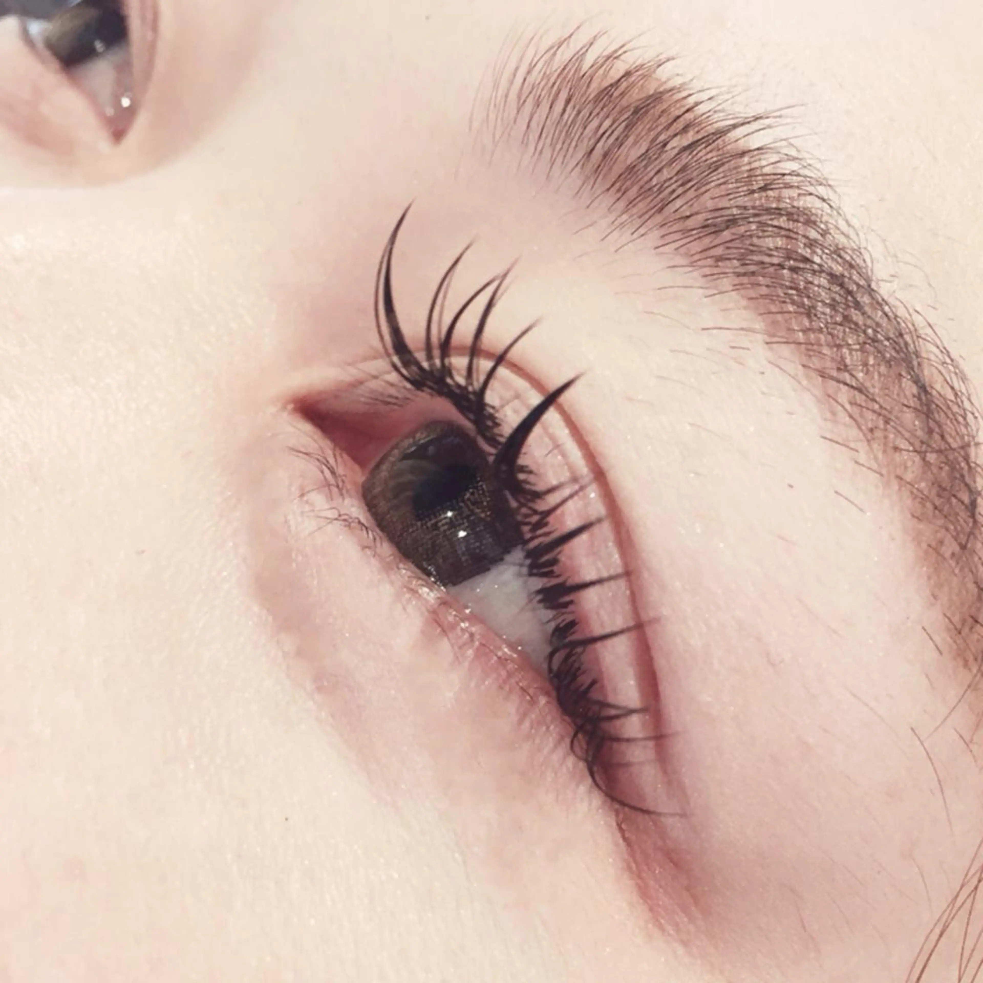 マツエク・マツパ Cカール Ai Quick 増田のマツエク・マツパデザイン