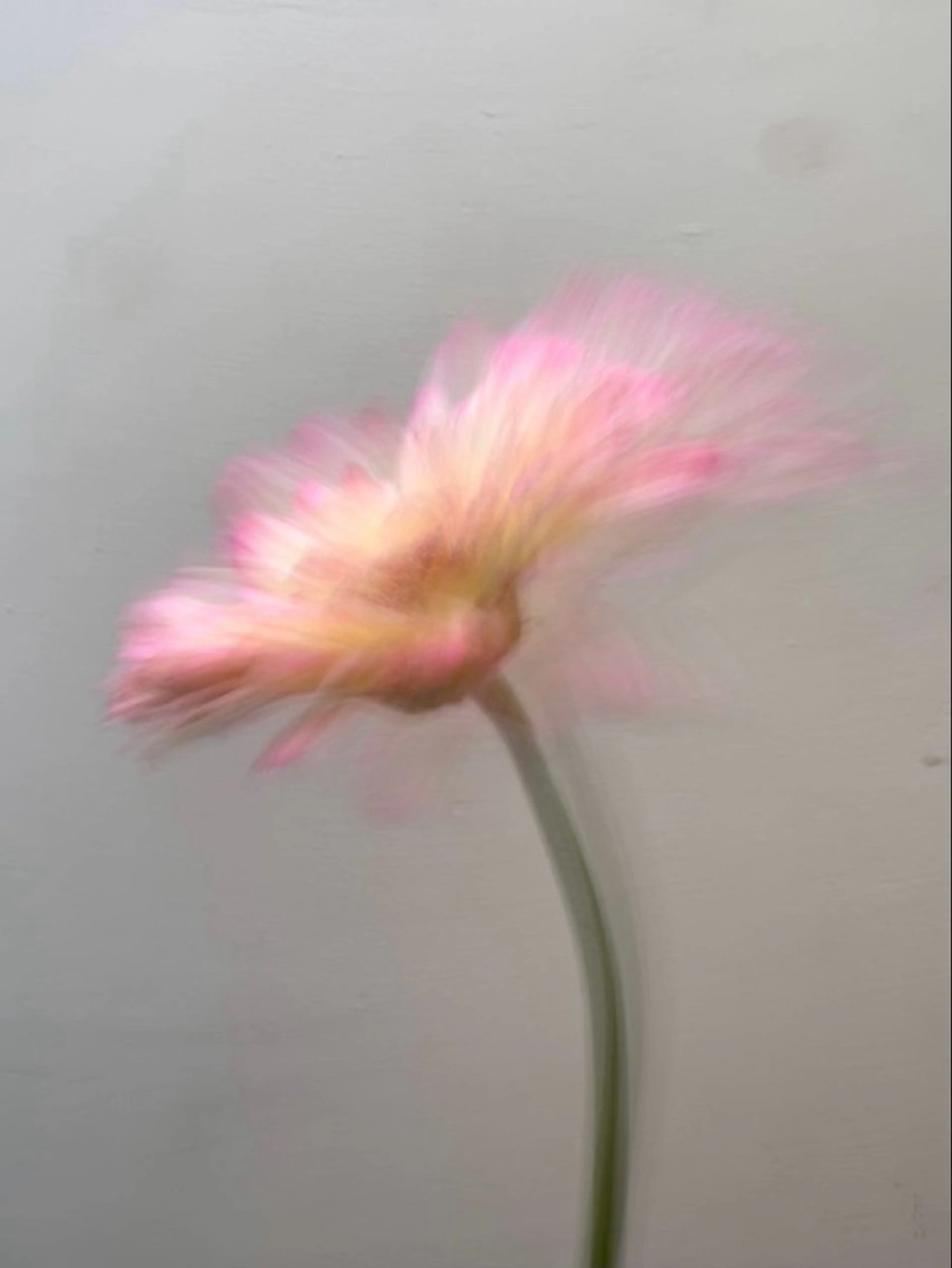 オト/レイヤー/ Wカラー/メンズのヘアスタイル