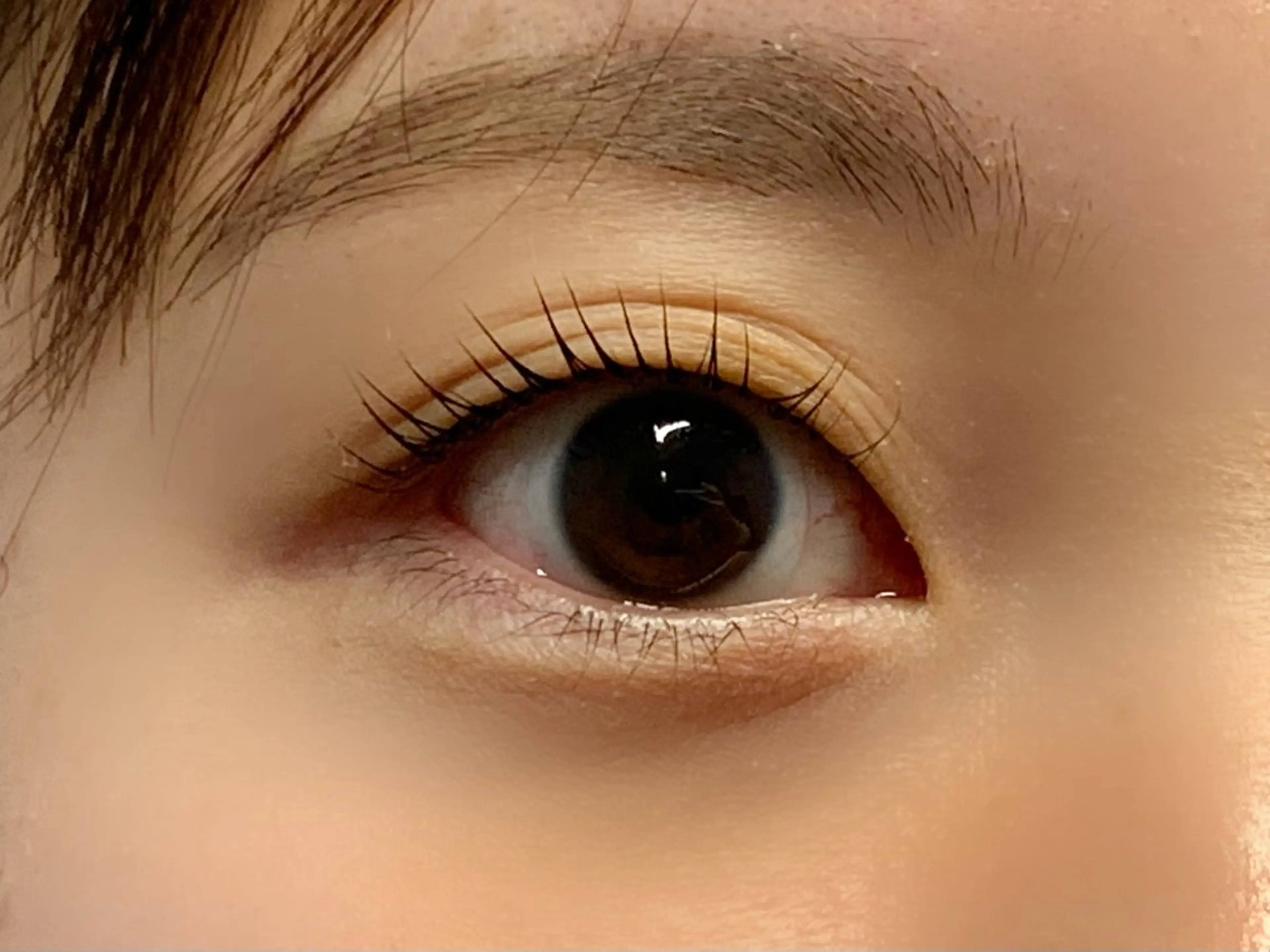 【オフなし･上まつ毛のみ】パリジェンヌ/まつ毛パーマ💍の写真