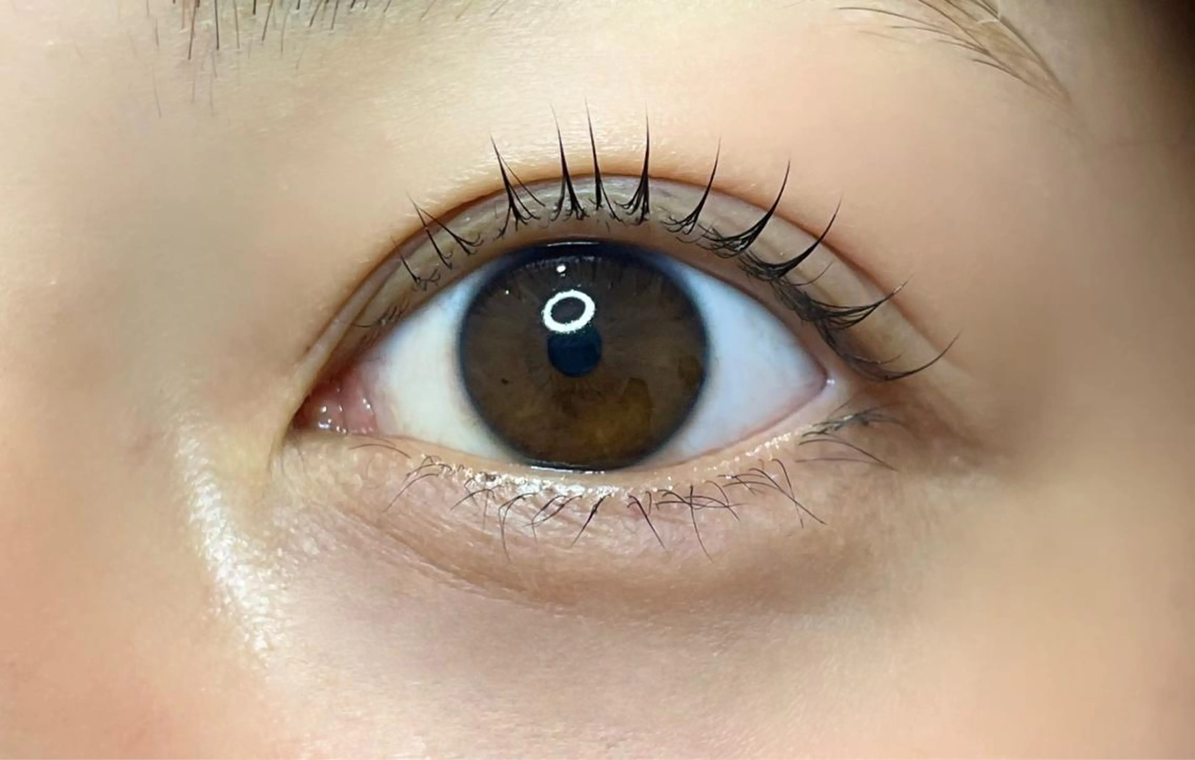 マツエク・マツパ 眉毛/まつ毛/代官山 アイサロン🌻NAEのマツエク・マツパデザイン