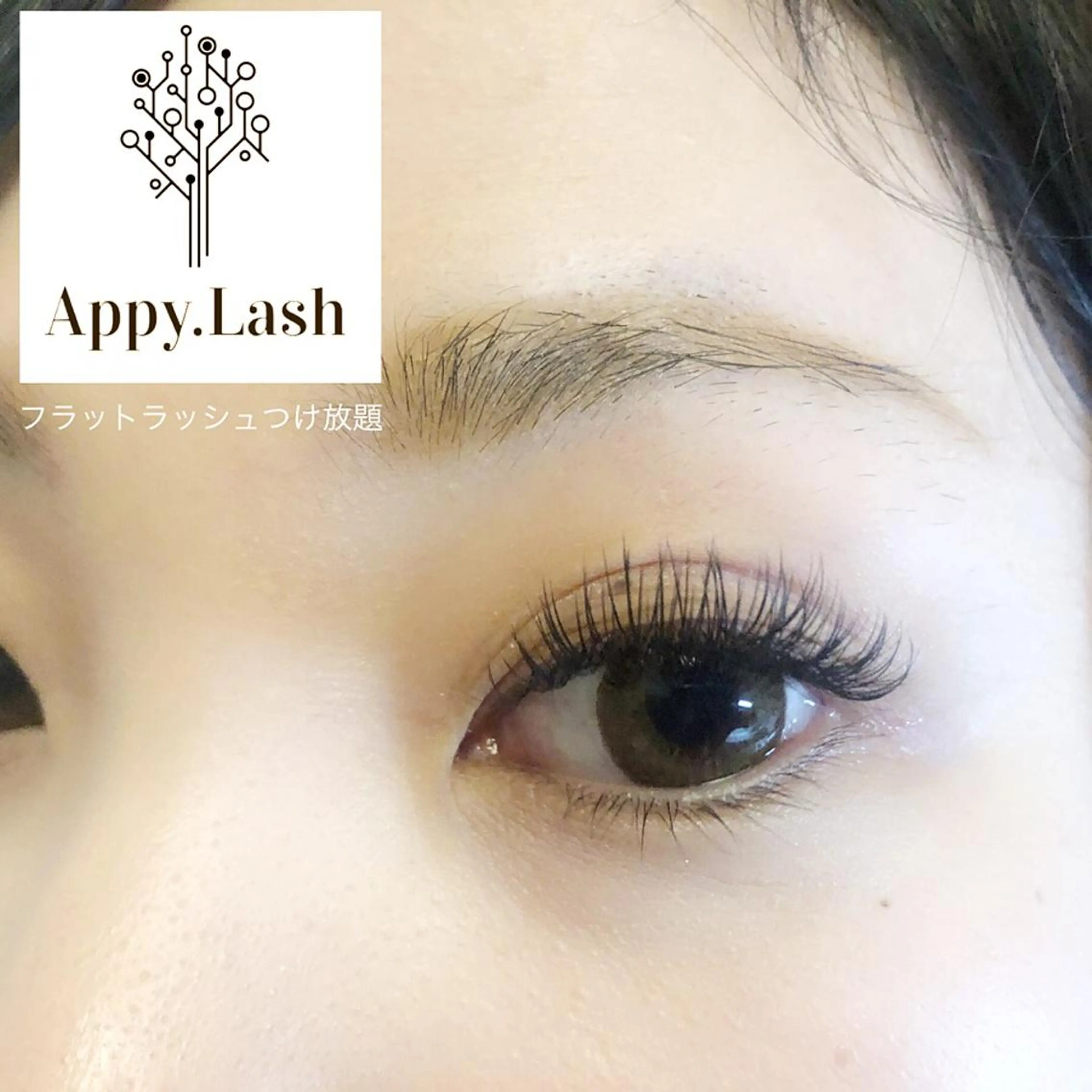 マツエク・マツパ フラットラッシュ パリジェンヌラッシュリフト ボリュームラッシュ まつげと眉の専門店 Appy.Lashのマツエク・マツパデザイン