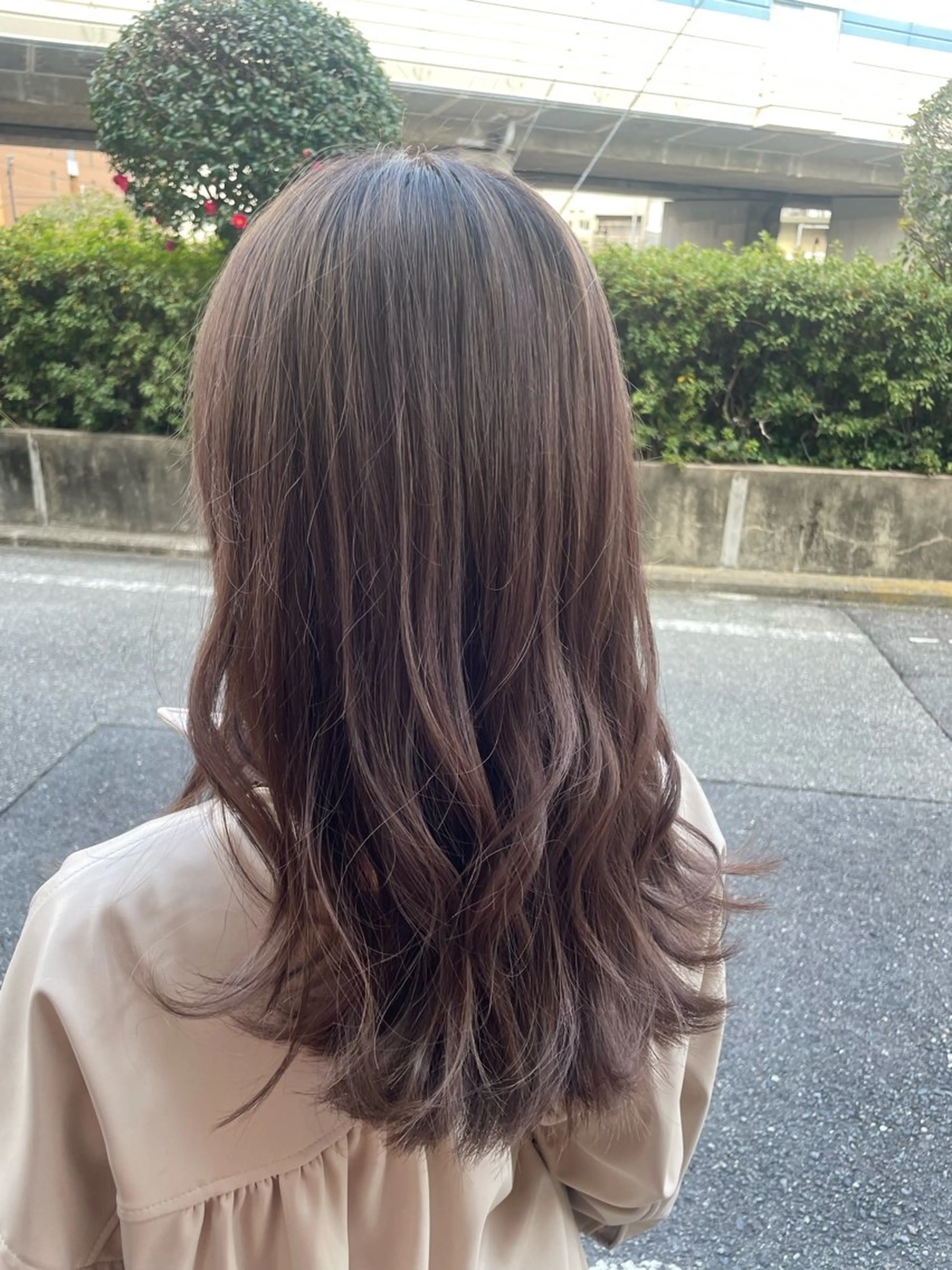 ミディアム 特化✨透明感カラー 白髪染め✨住田緋菜のヘアスタイル