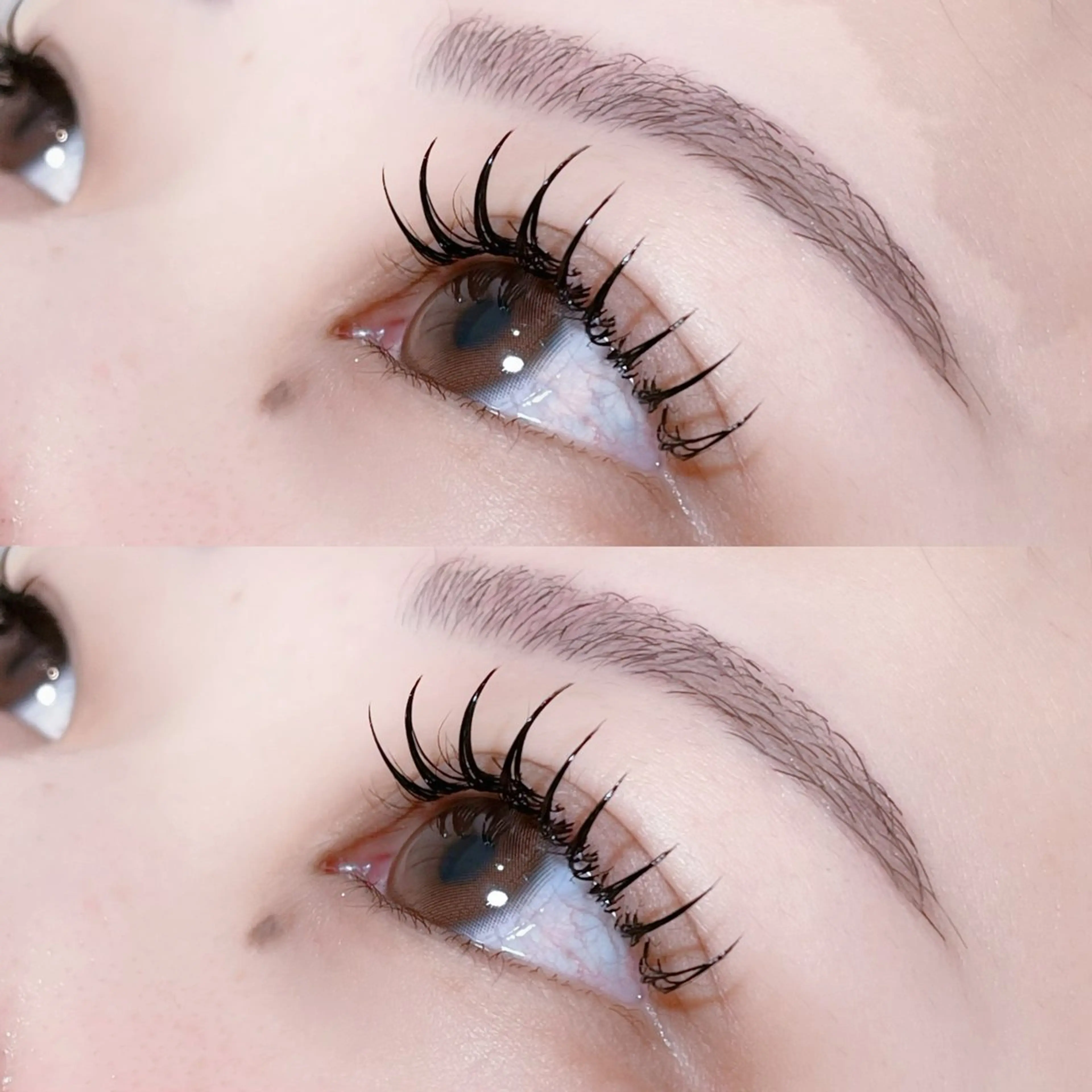 シングルフラットラッシュ160本💓の写真