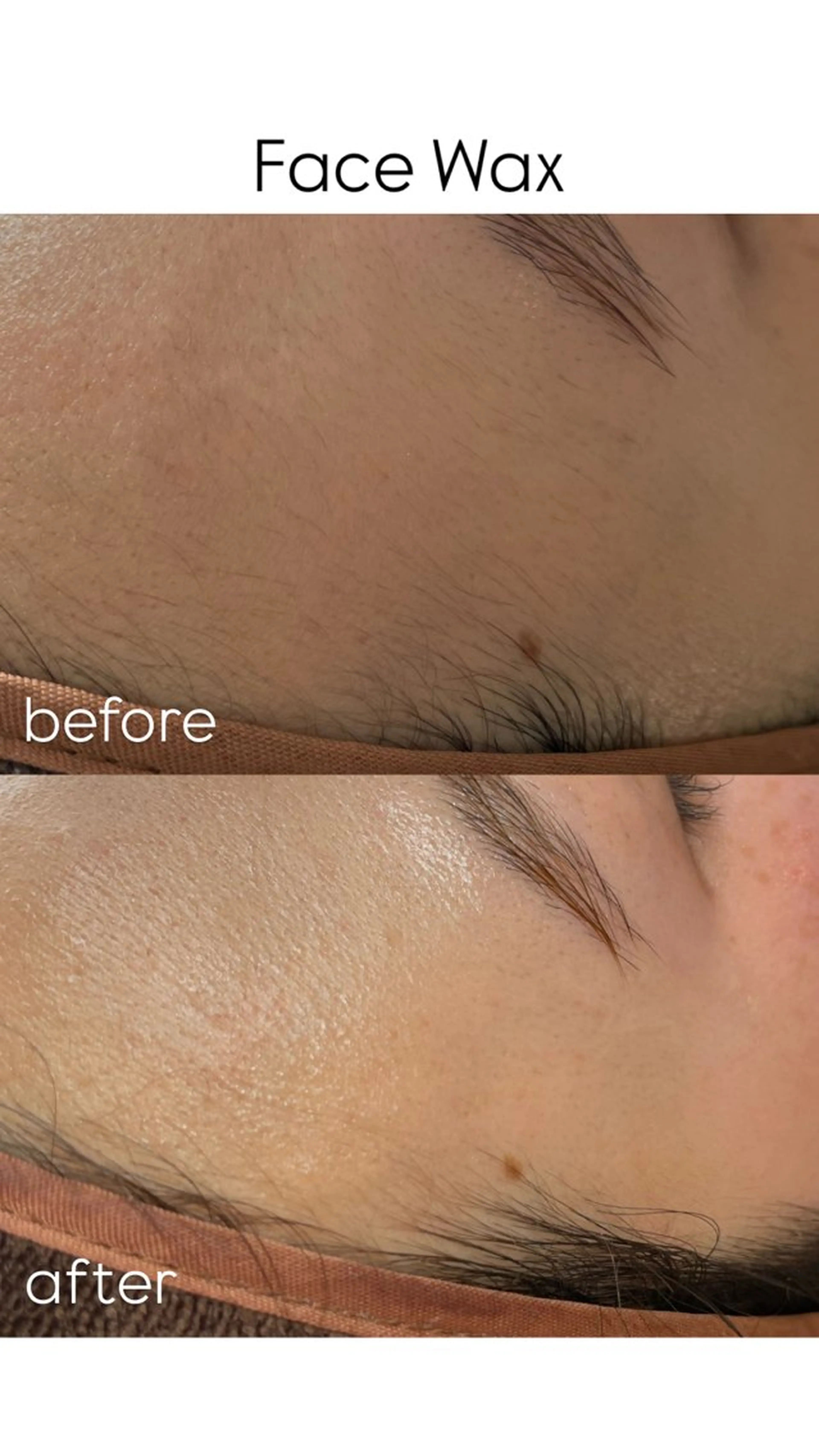 New所属・New __のその他イメージ