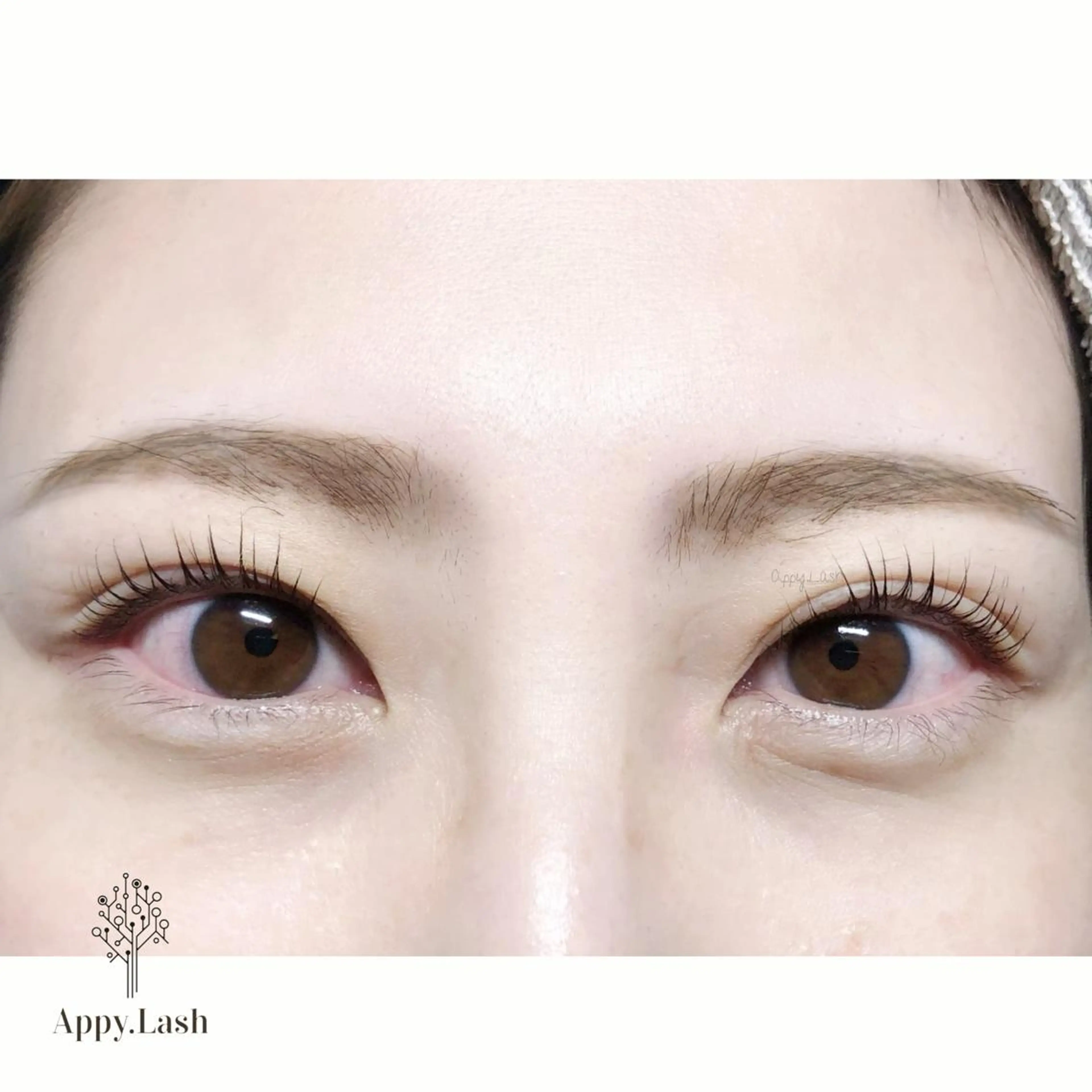 マツエク・マツパ フラットラッシュ ナチュラル パリジェンヌラッシュリフト まつげパーマ ボリュームラッシュ まつげと眉の専門店 Appy.Lashのマツエク・マツパデザイン