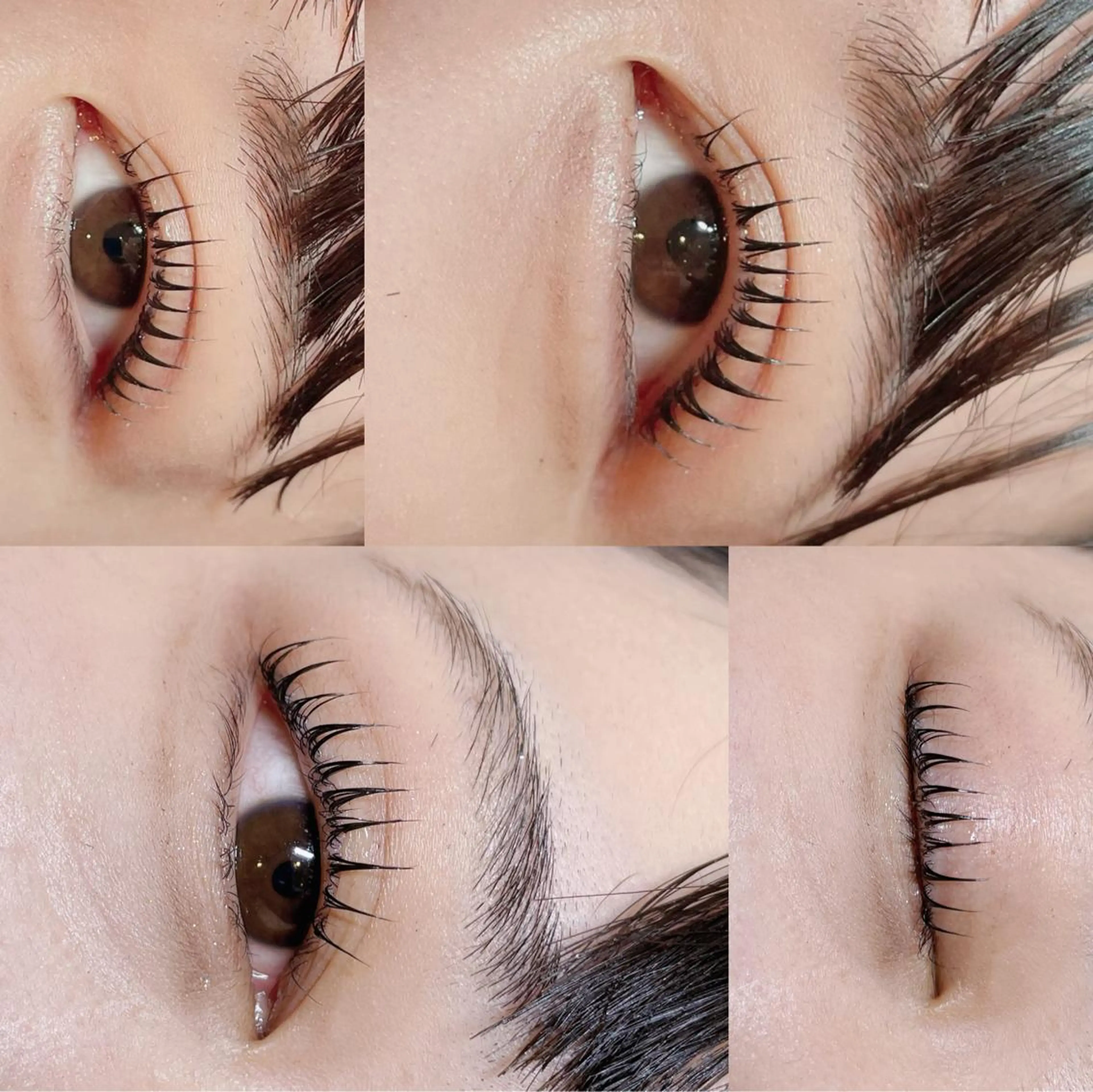 マツエク・マツパ サラバイ ニコットのマツエク・マツパデザイン