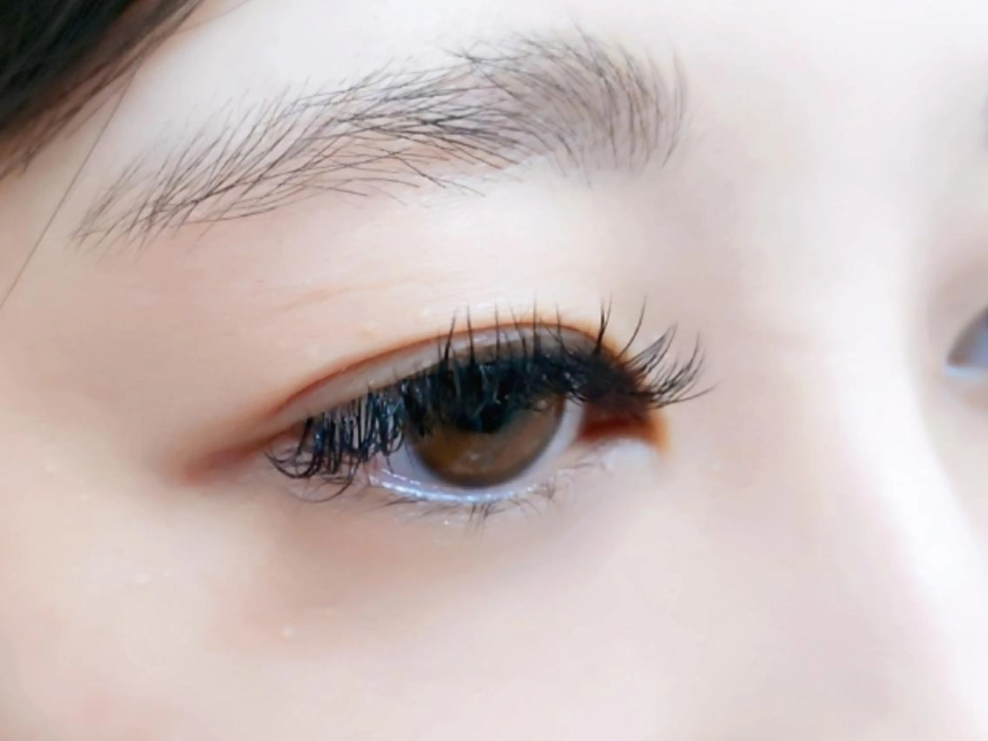 初回オフ込み✨バインドロック✨cカール、Jカールブラウンカラー変更可能🧡・80束の写真