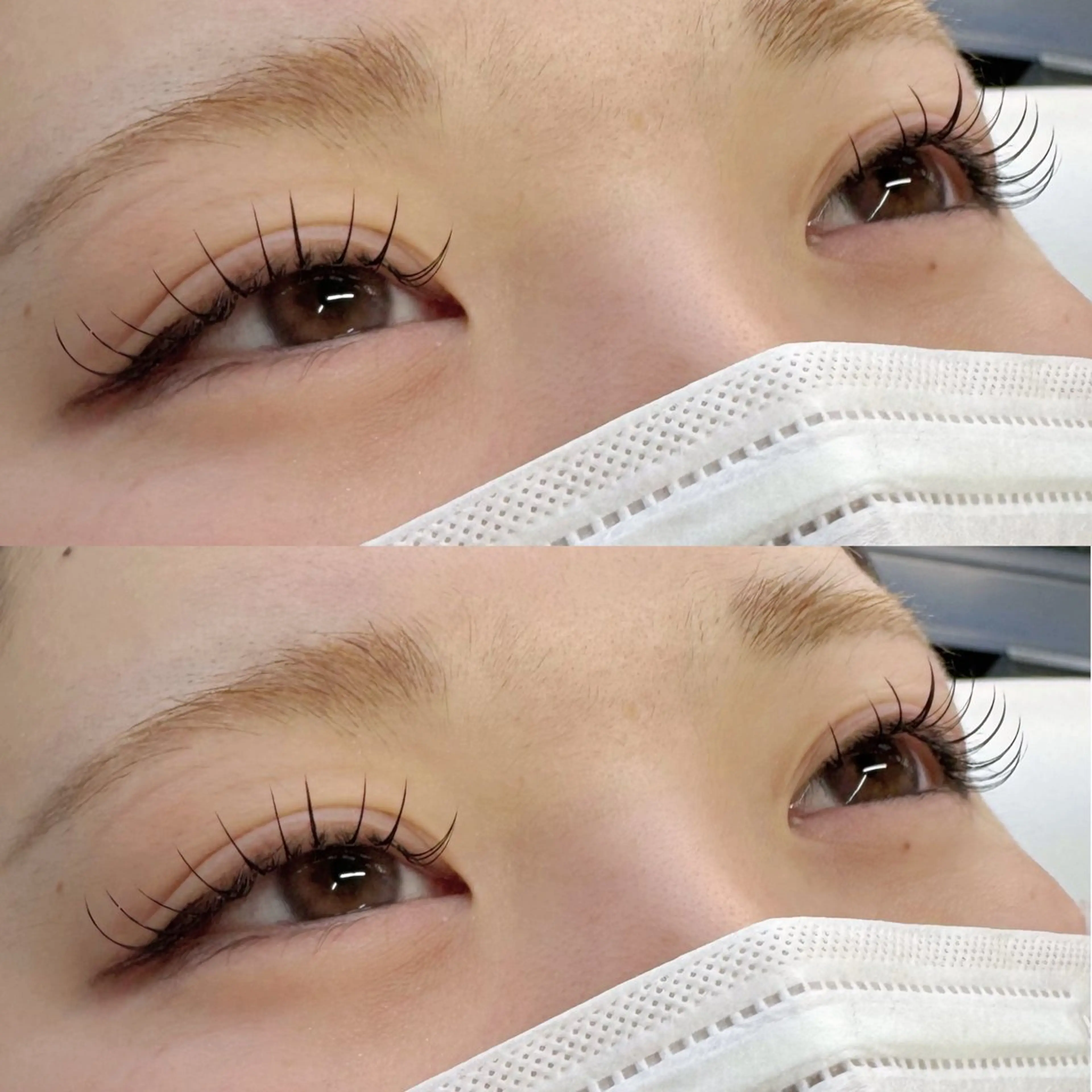 【LED】フラットラッシュ 100本の写真