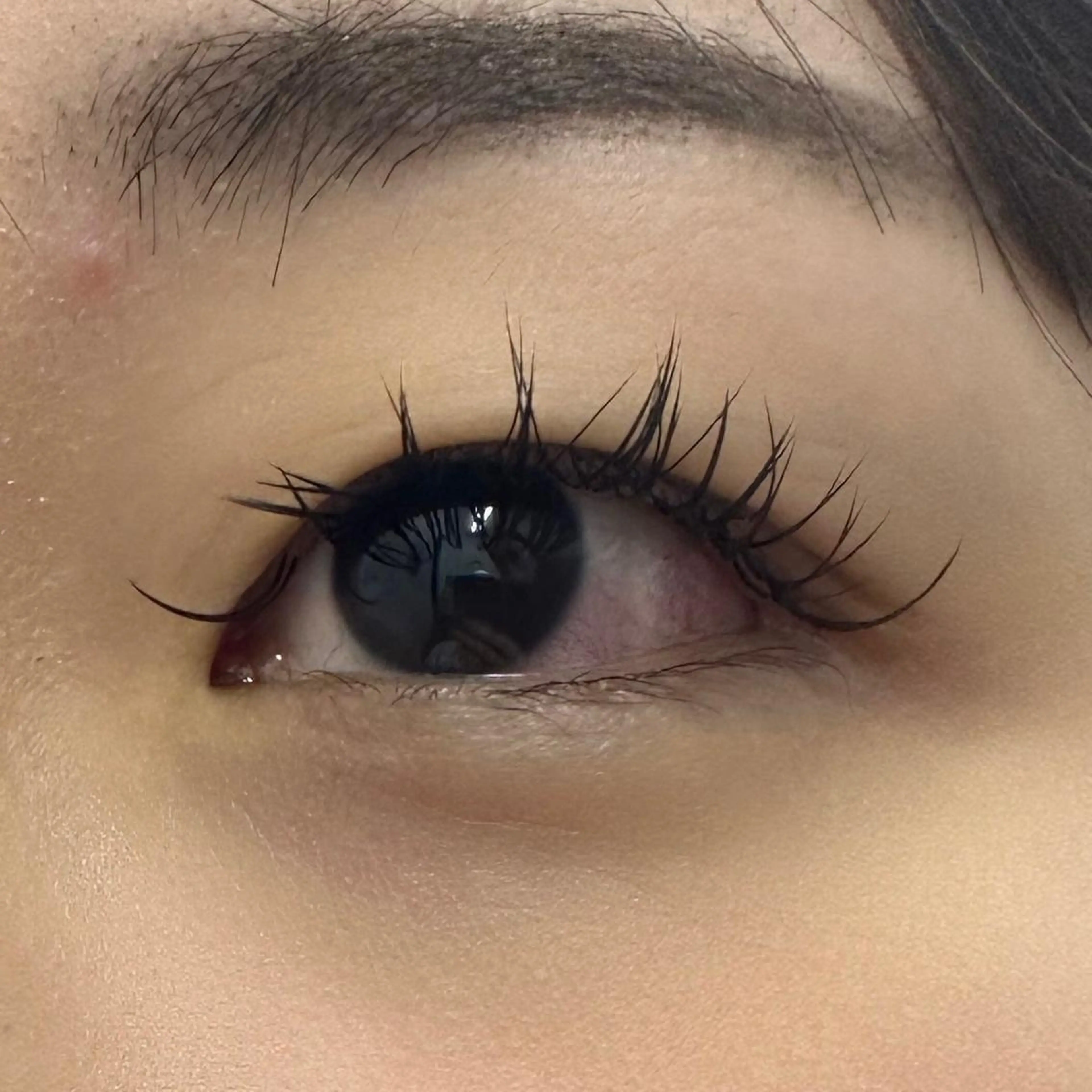 マツエク・マツパ Cカール Miyu🦄ash メンズカット/まつげのヘアスタイル