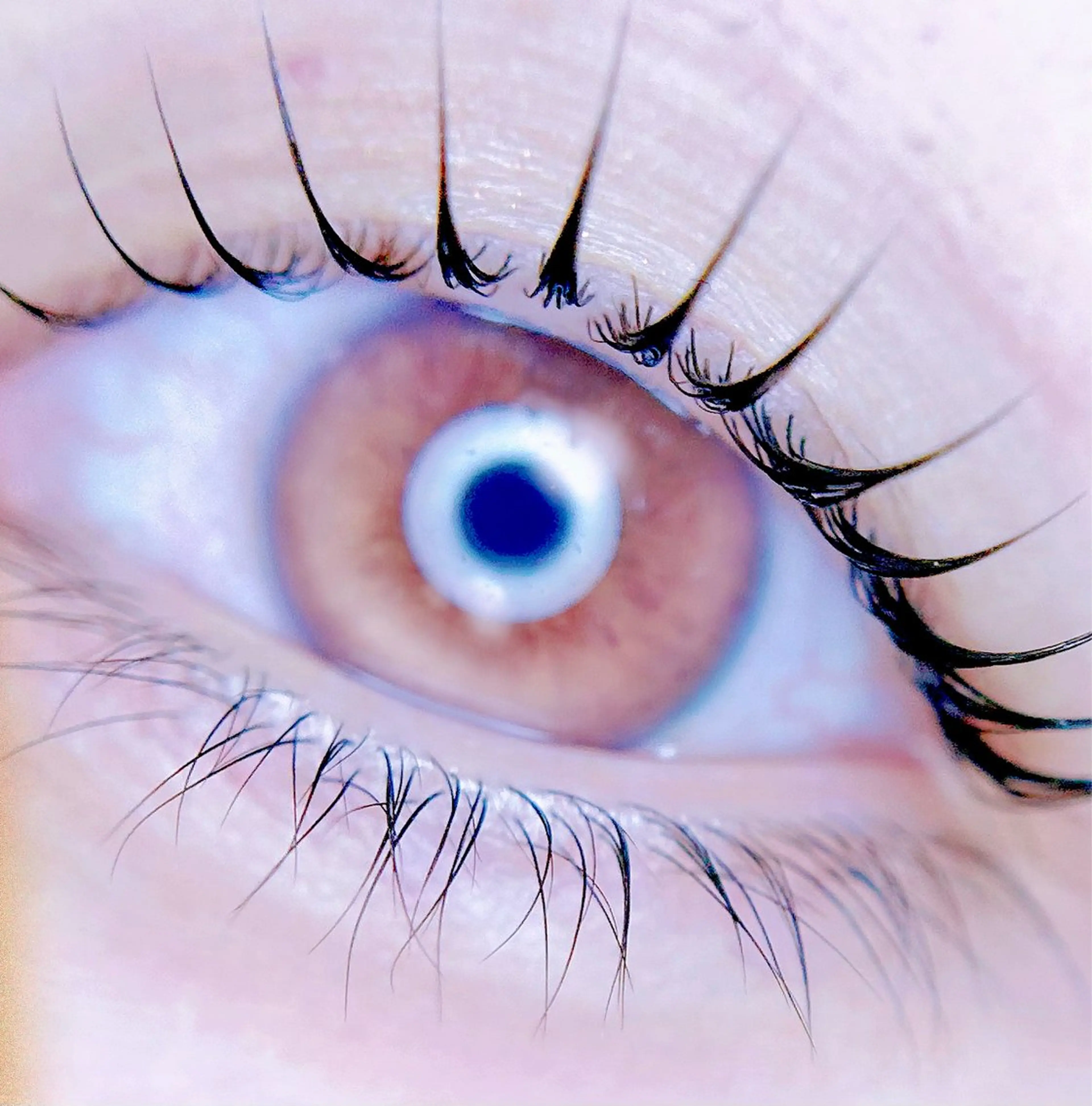 マツエク・マツパ マツパ 🎀eyelist. mizuki🐈‍⬛の眉毛・アイブロウイメージ