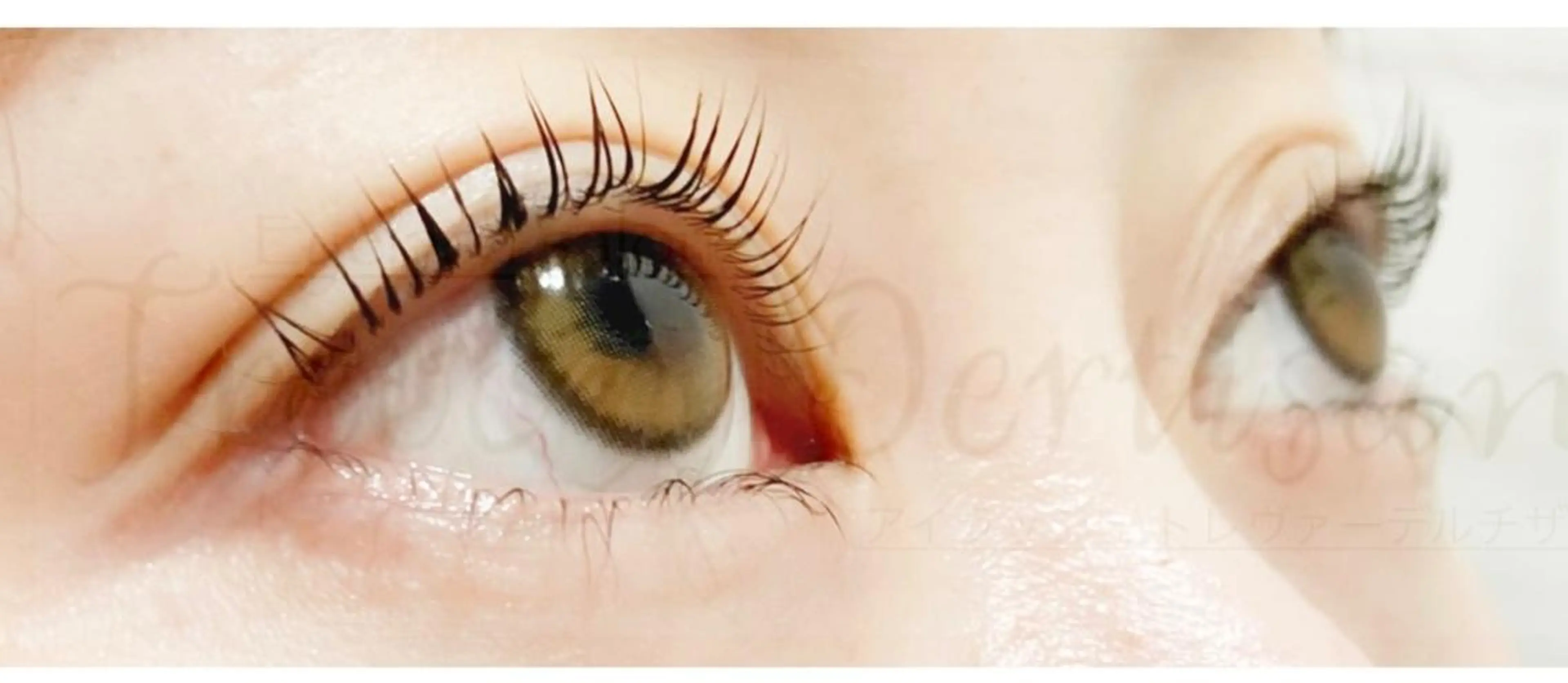 マツエク・マツパ マツパ トレヴァーデルチザン inuiのマツエク・マツパデザイン