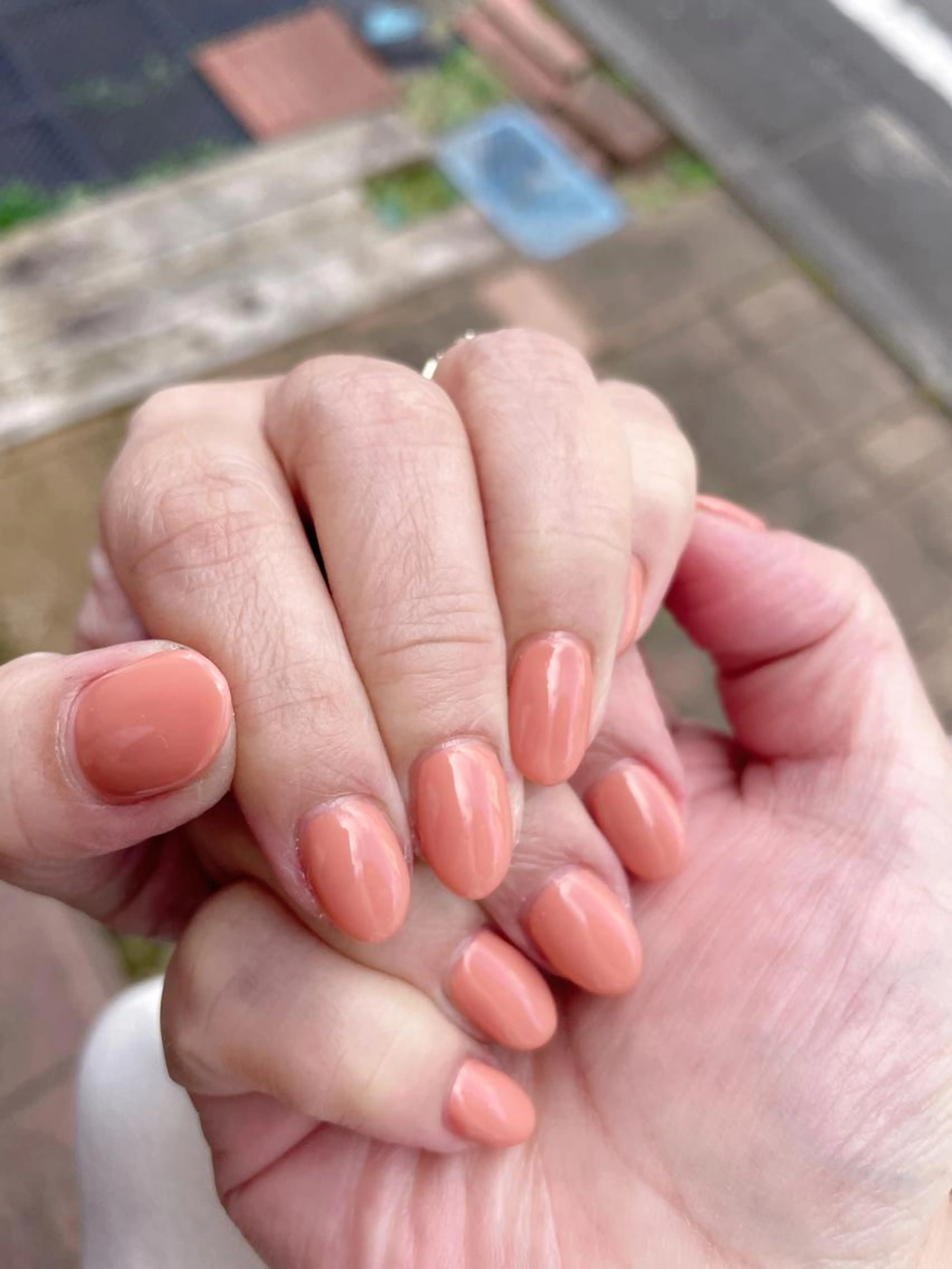 ワンカラー  キャンペーンの写真