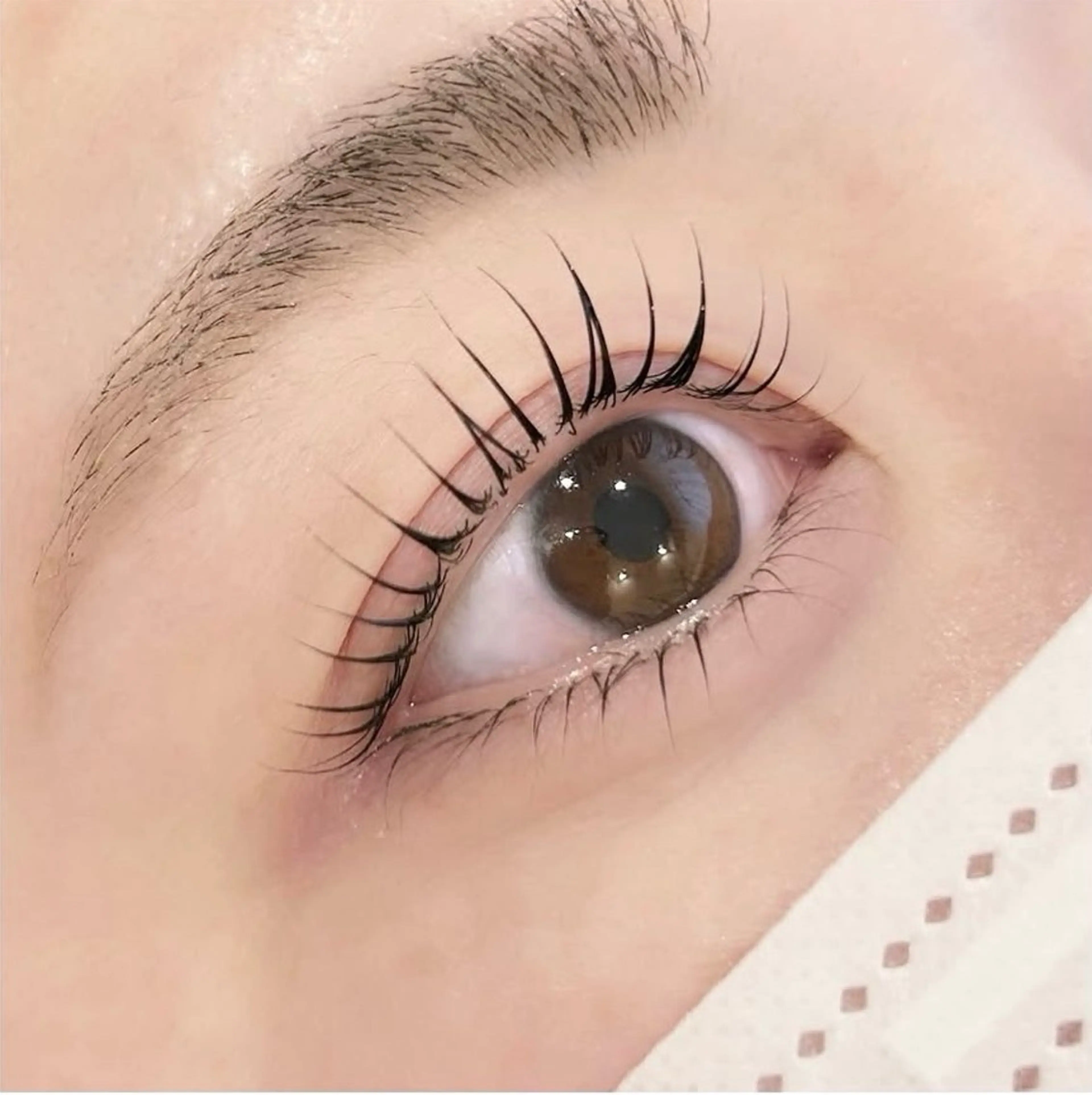 まつげパーマ(トリートメント、コーティング付)の写真