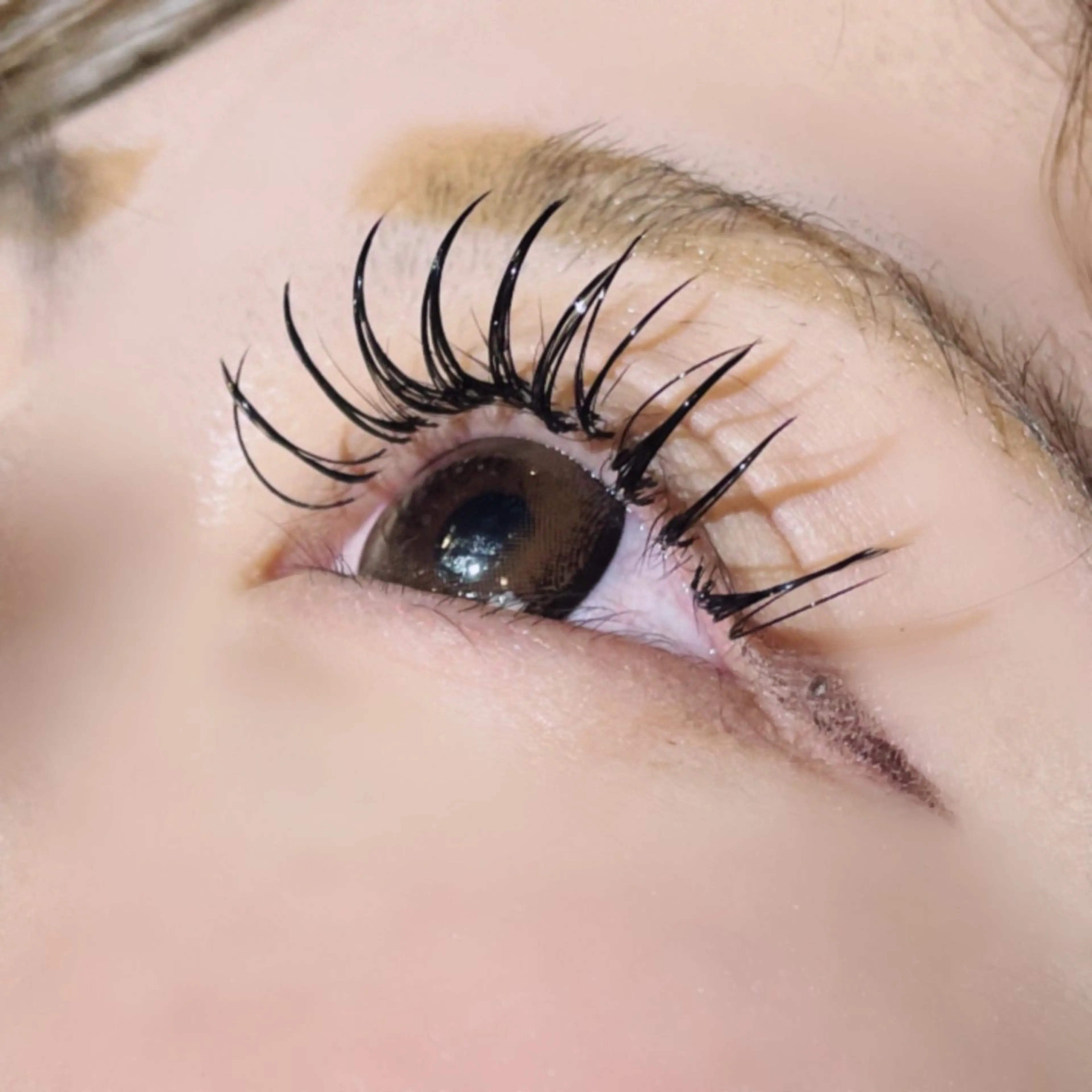 まつげエクステの写真