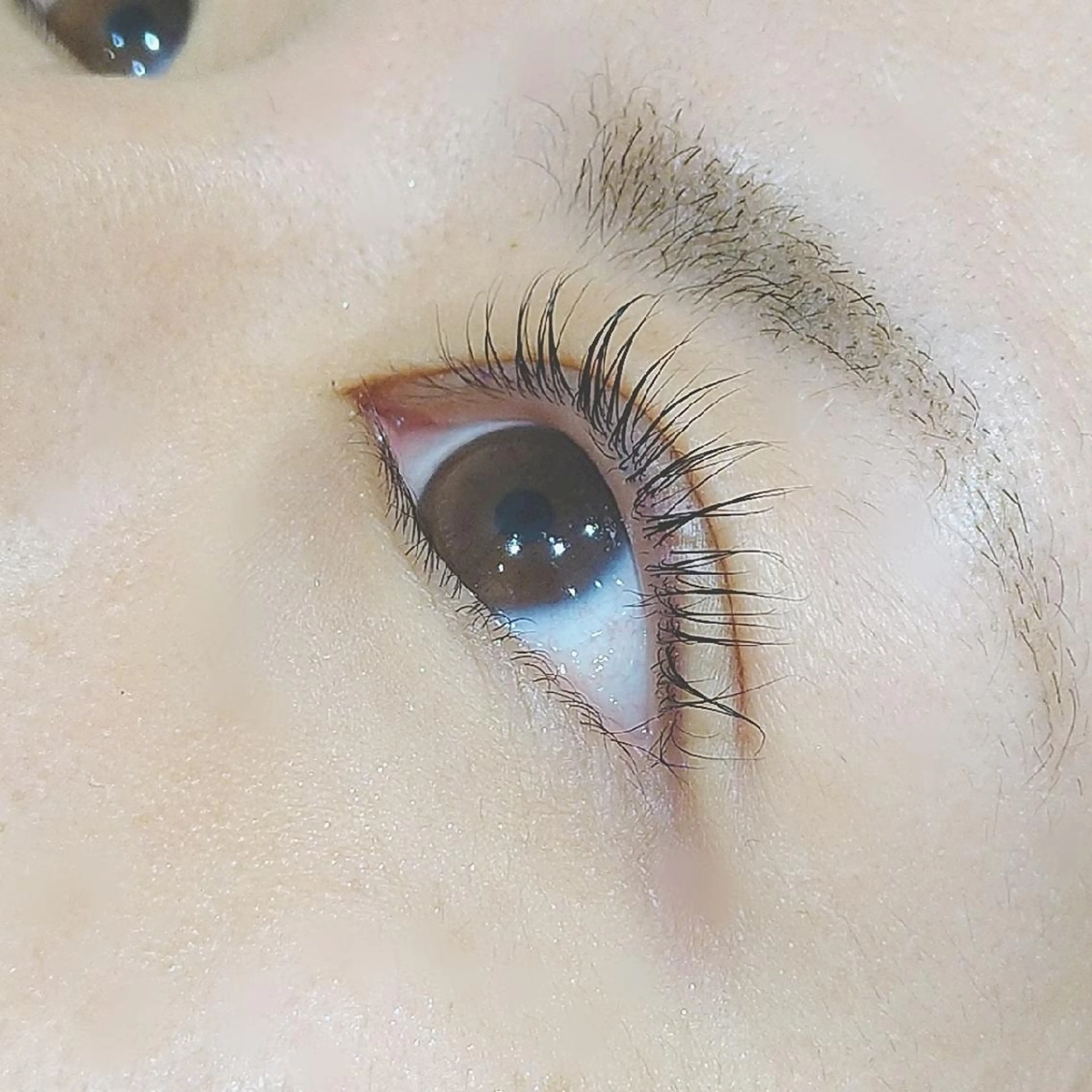 マツエク・マツパ まつげパーマ &ヘルシー/ネイル/ LED🤍Mioriのマツエク・マツパデザイン