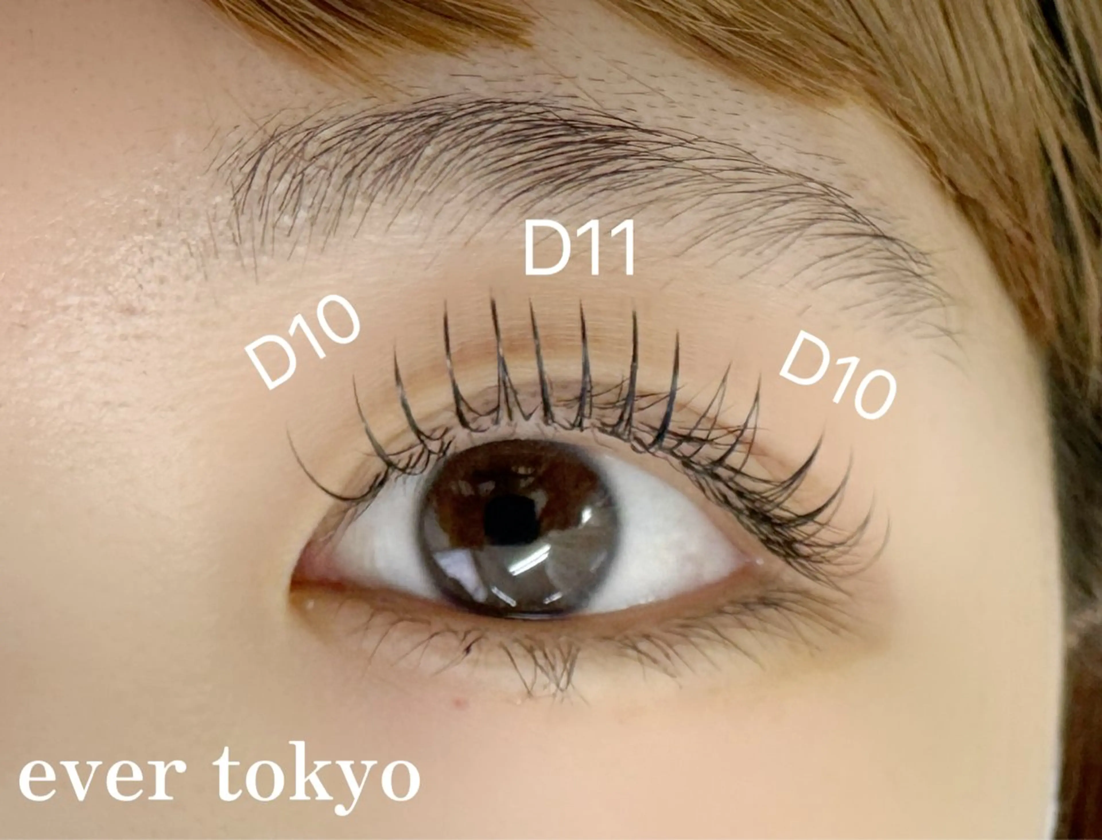 マツエク・マツパ フラットラッシュ alicetokyo 天神店のマツエク・マツパデザイン