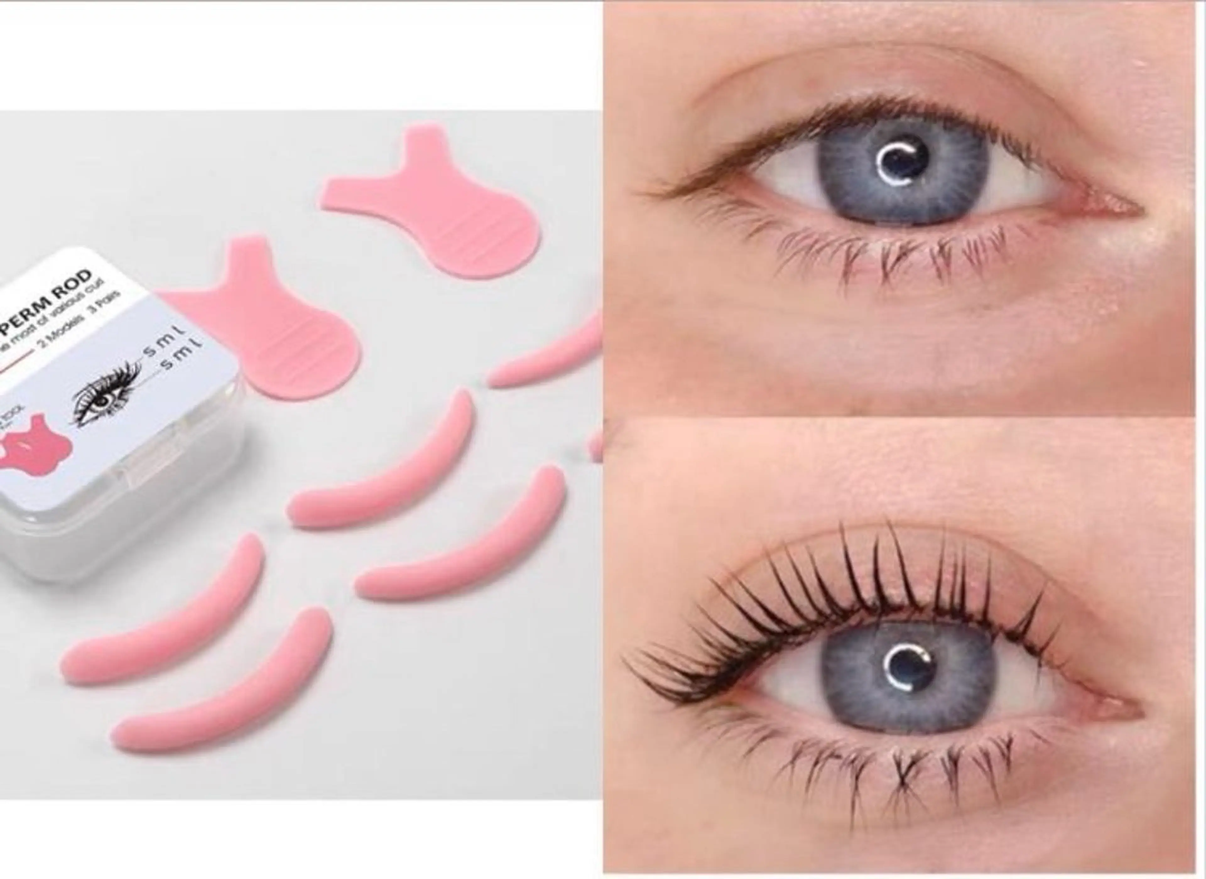 ≪十月限定≫🐻まつぱおすすめ🧸パリジェンヌラッシュリフトorまつげパーマ🌈の写真